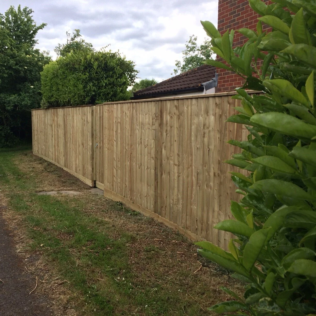 CLOSE BOARD FENCE MADE TO MEASURE & TWO ACCESS GATES