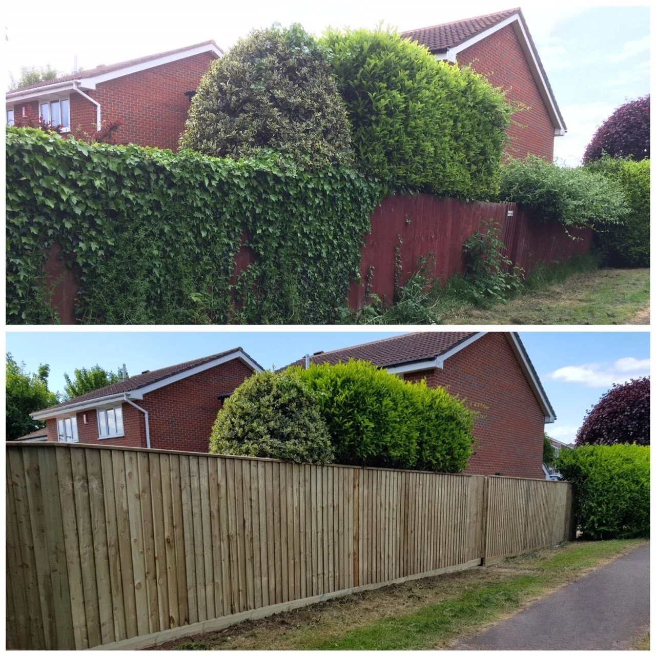 CLOSE BOARD FENCING
