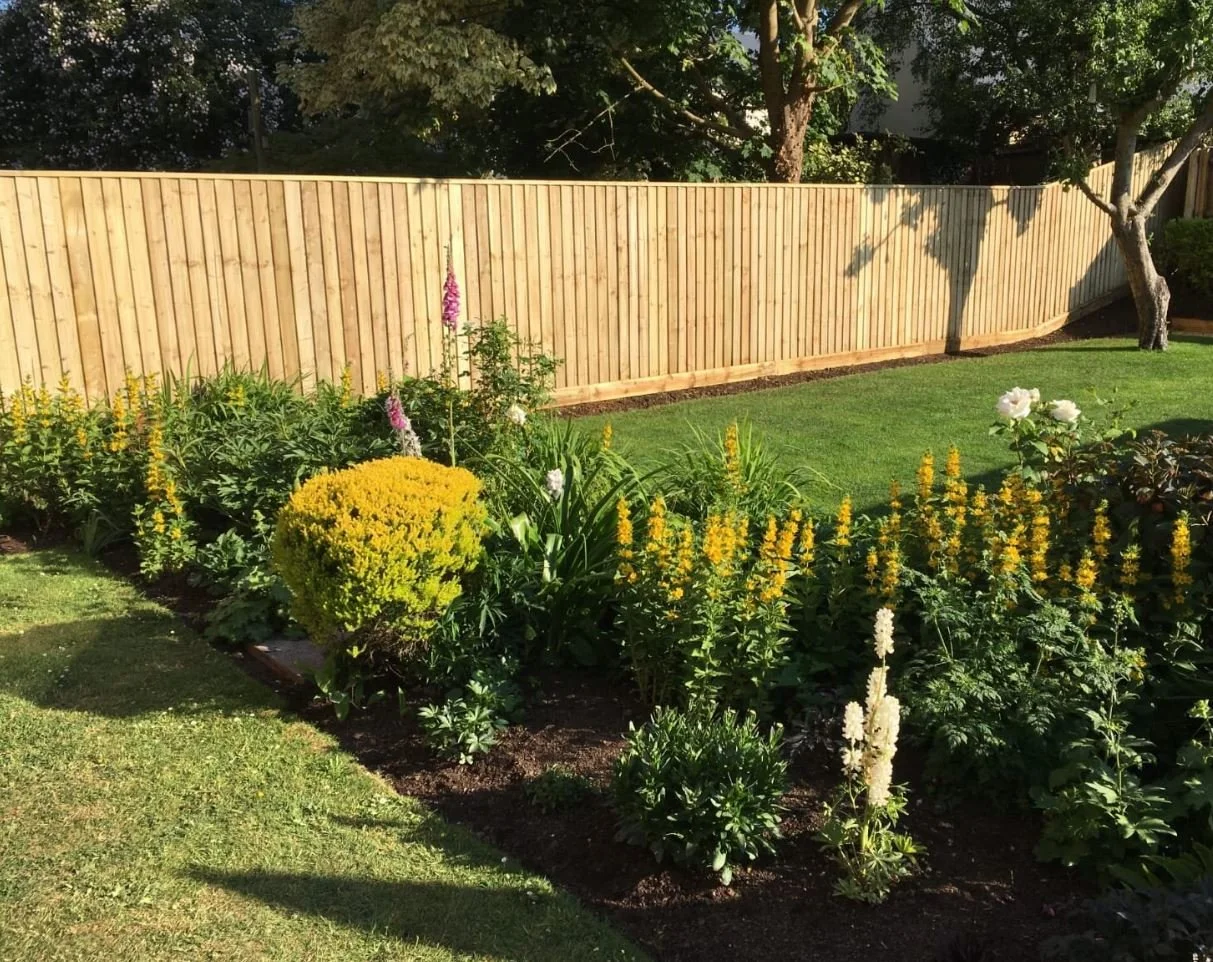 Close board fencing in Bristol by NC Fencing.JPG