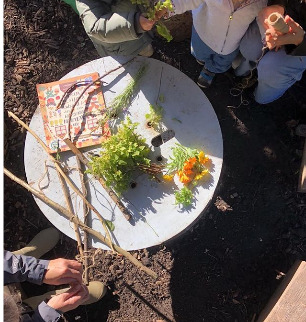 Nature School pic.png
