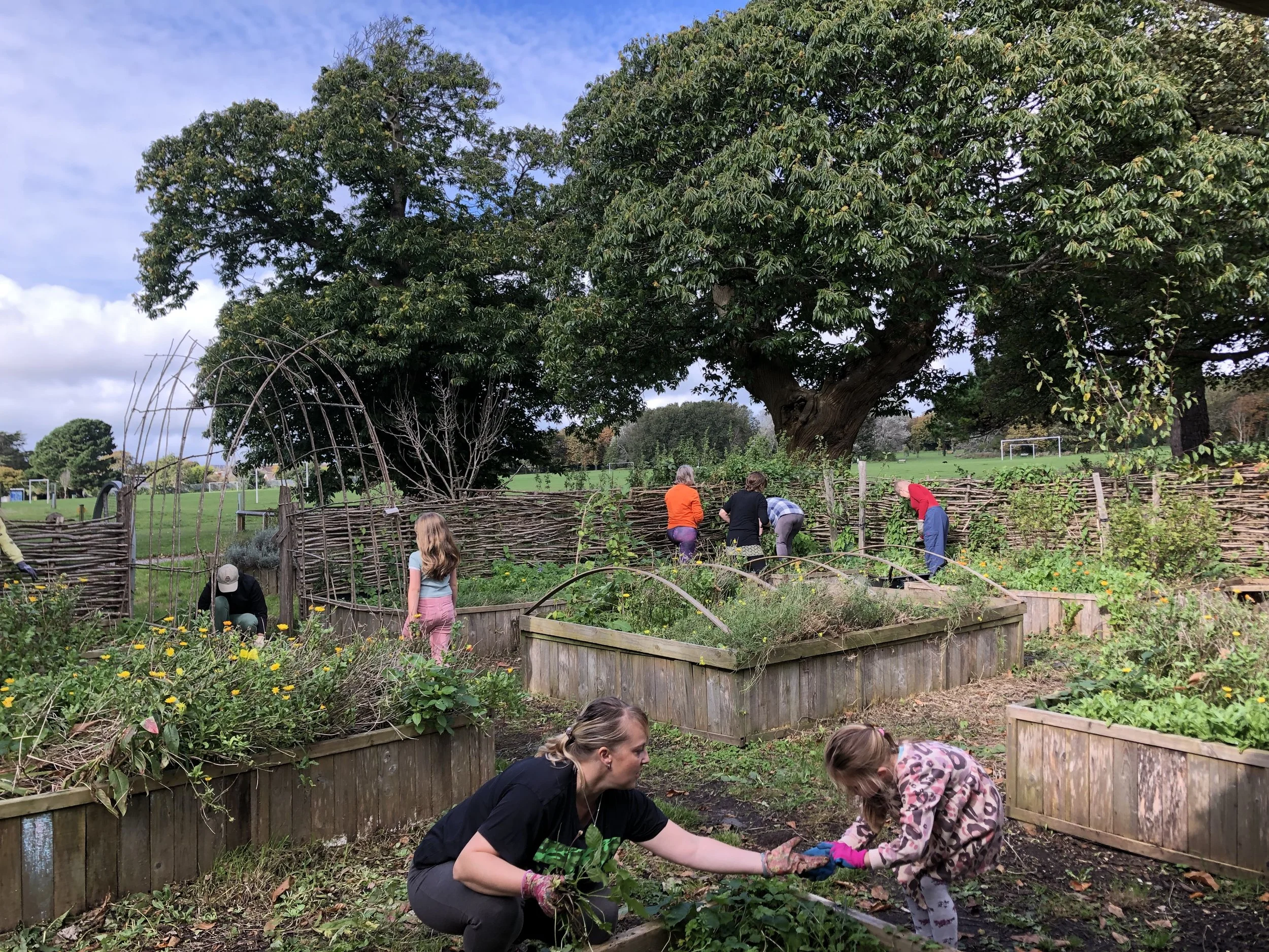 Apron Community Garden, Buckingham Park, Shoreham-by-Sea.jpeg
