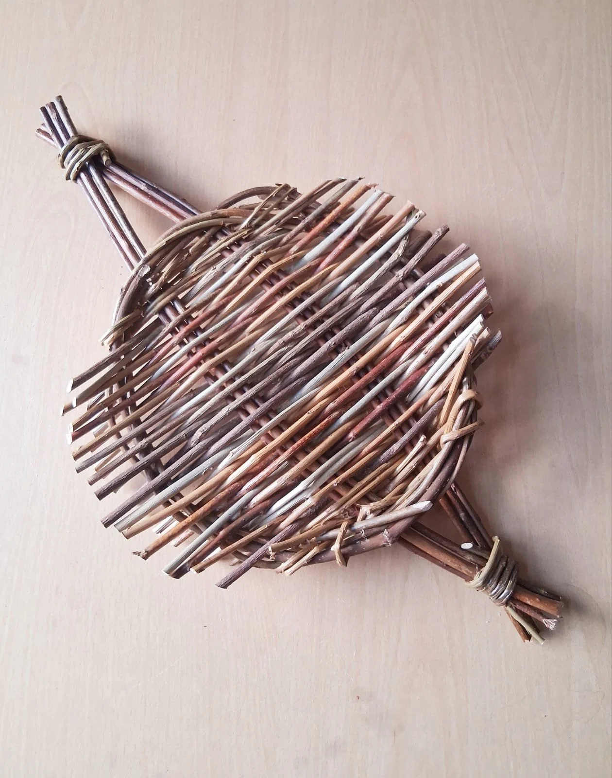 Anna Twinam Cauchi.JPG