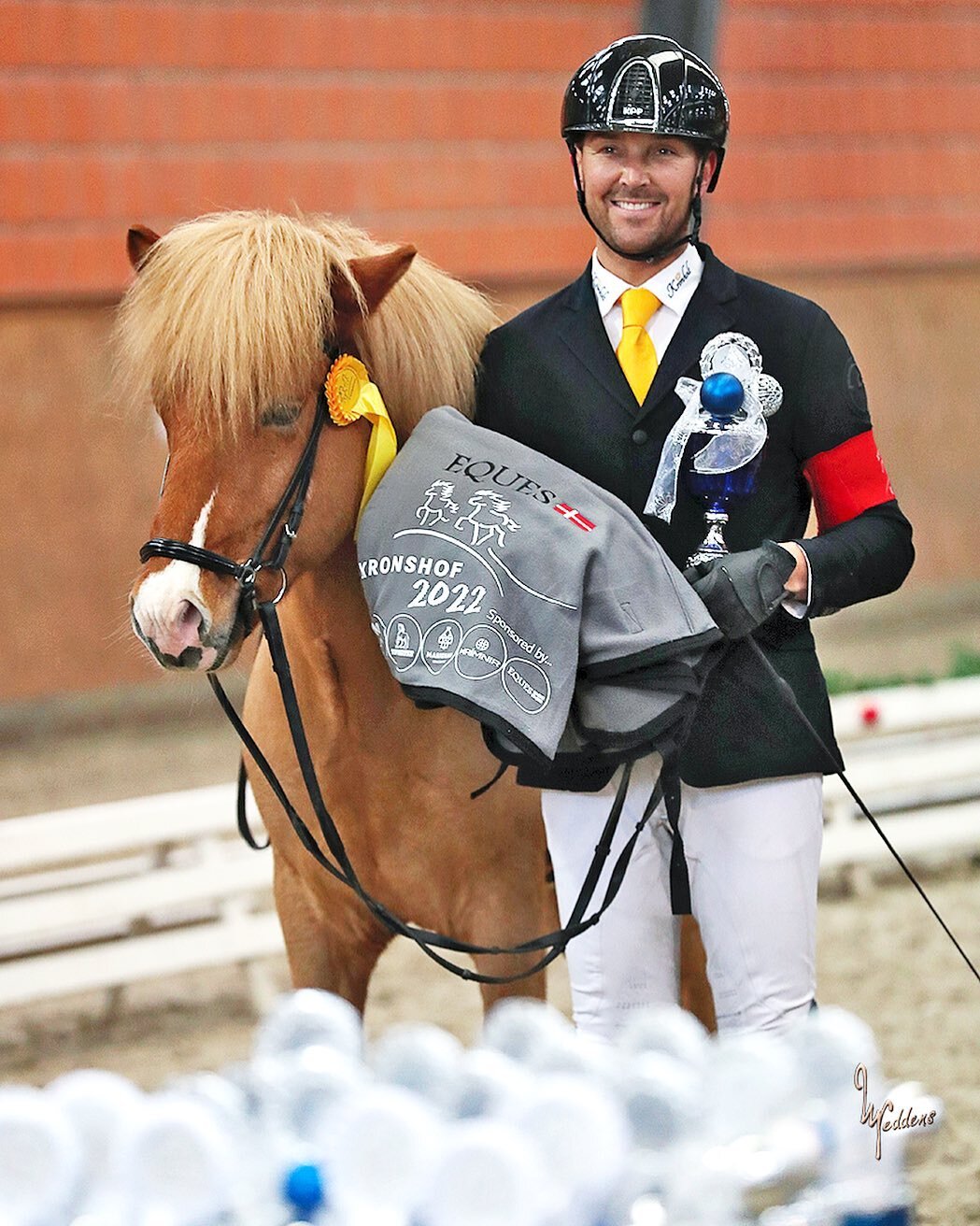 My upcomming competition horse Baltasar fra @sunnaholt 🥂🍾🙌🏼✨

Winning Futurity 4-gait and T&ouml;lt at @kronshof Winther Special 🥇🥇

#Uhip#Regulatorcomplete#Bl&oacute;mat&uacute;n#BroholmBiz#midtleasing#equinordic#eques#Torgeir&Aring;sland #&th