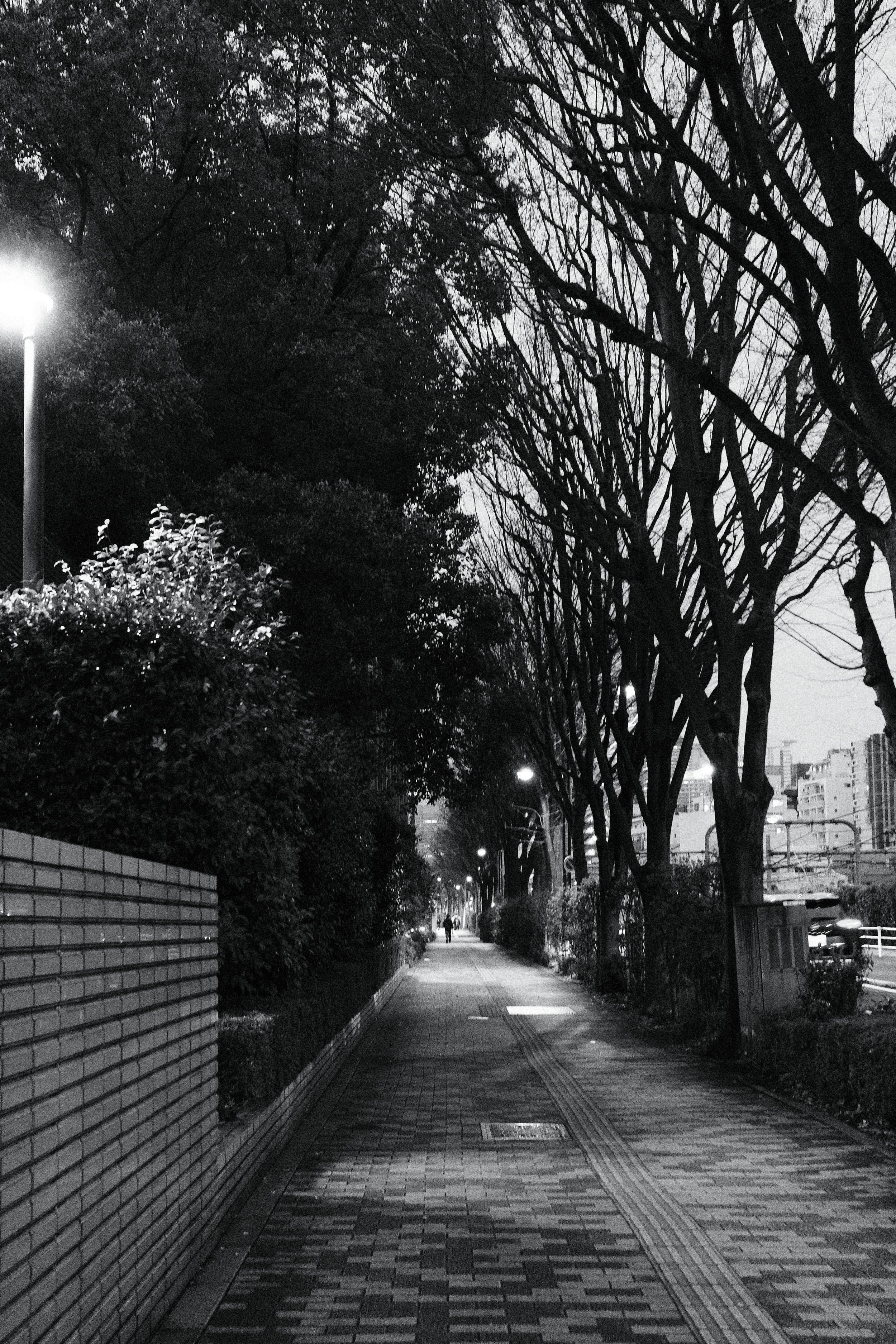 || 15 || 高田馬場駅