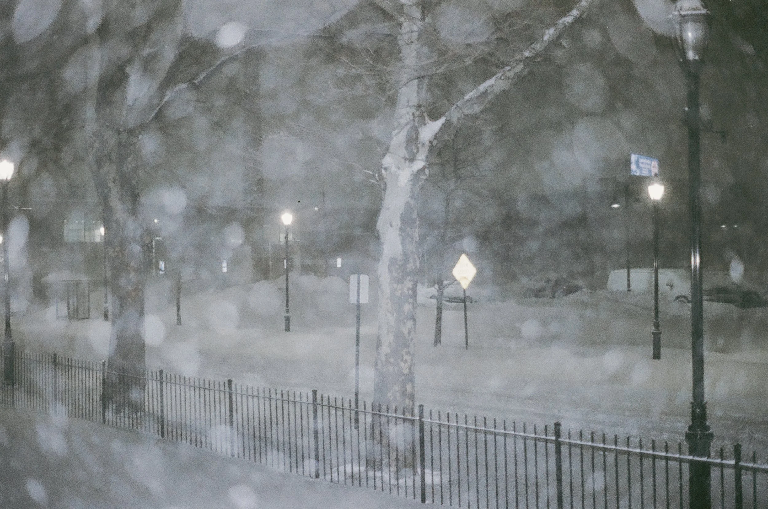 00200032.jpg
