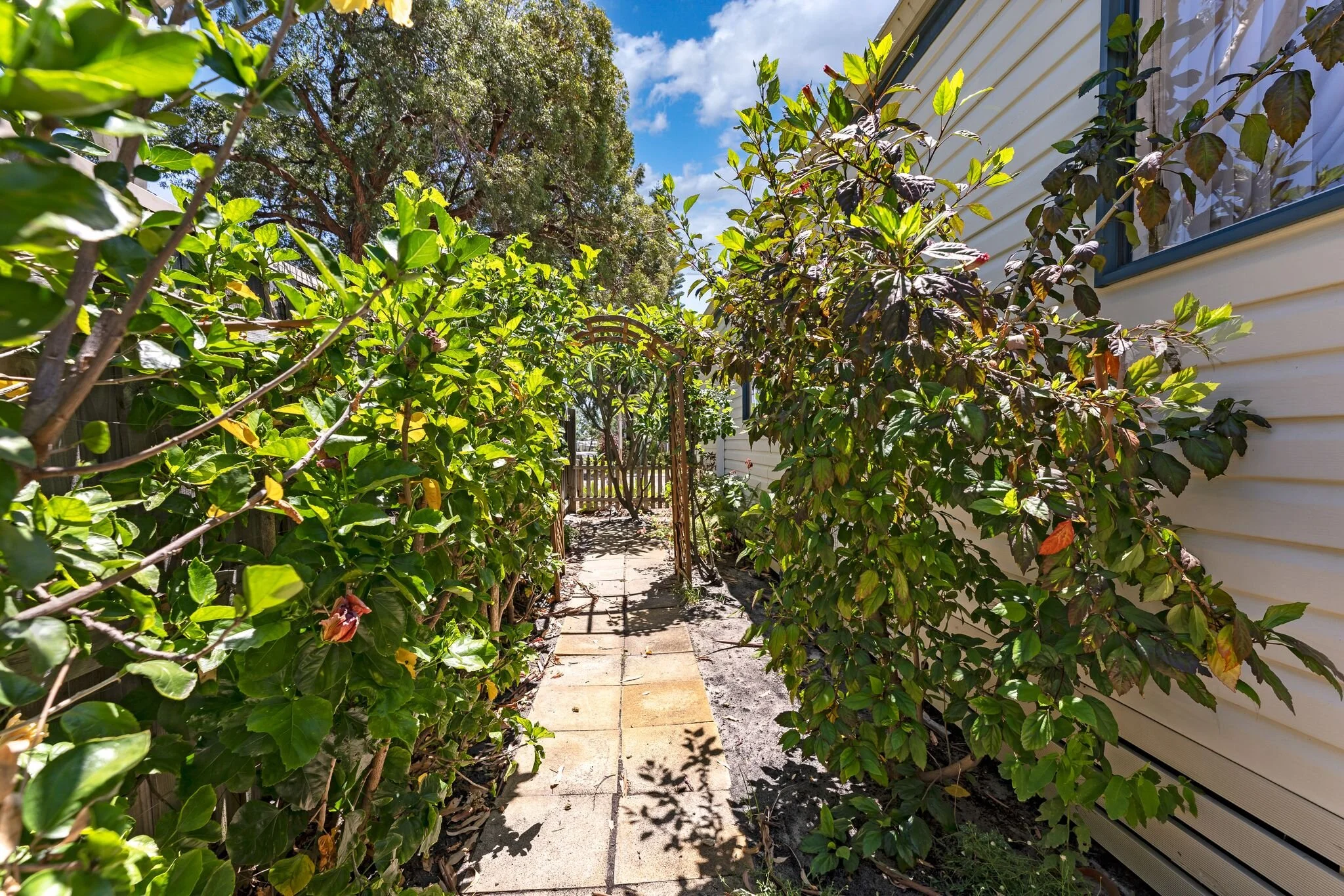 #97 side garden.jpeg