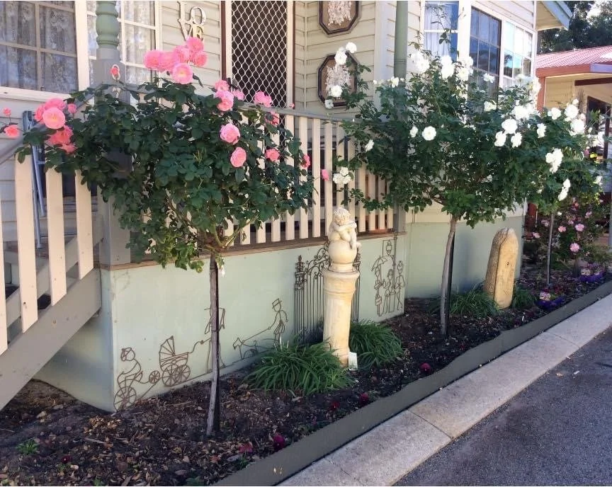 #87 front garden.JPG