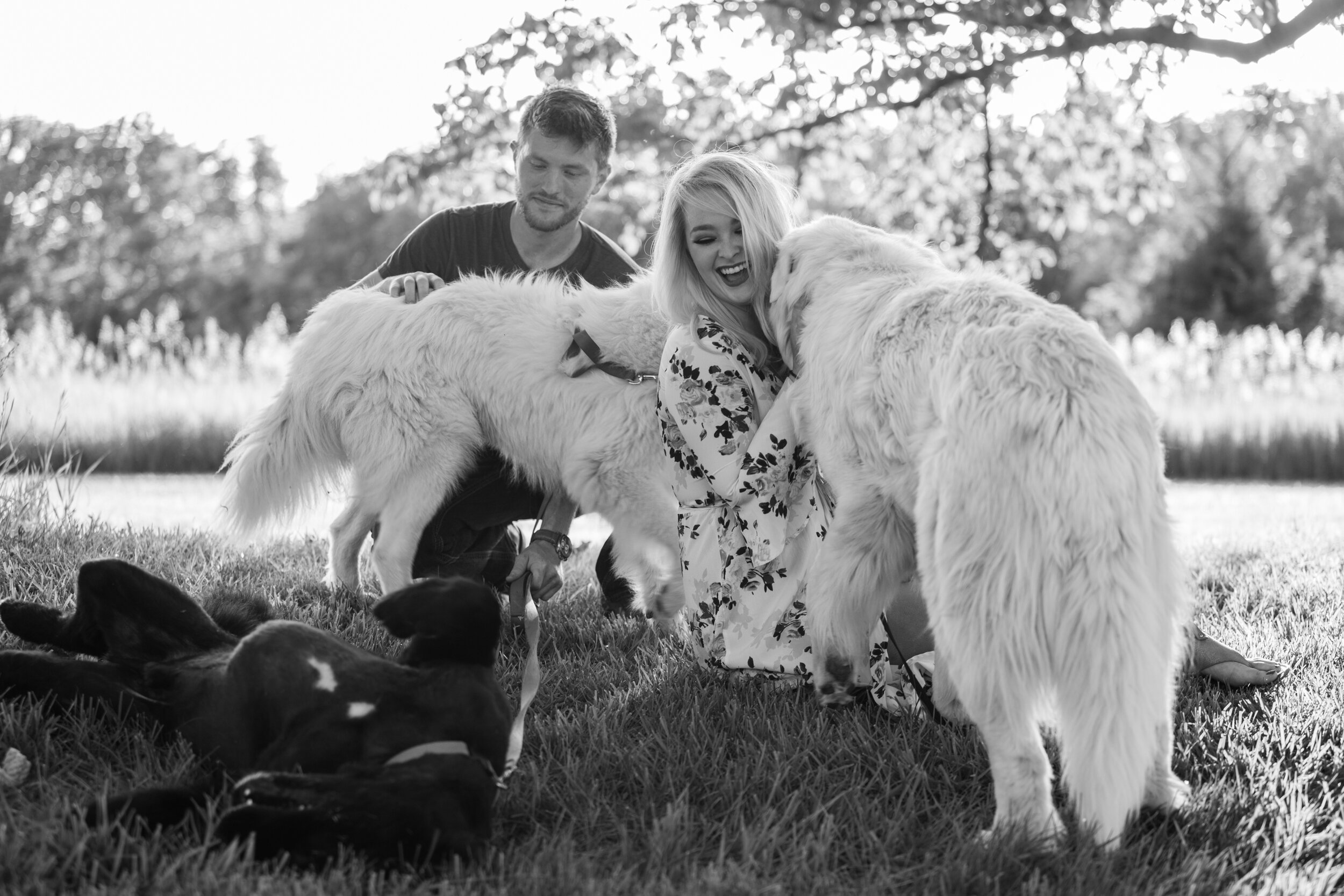 Marissa K Webb Photography - Family