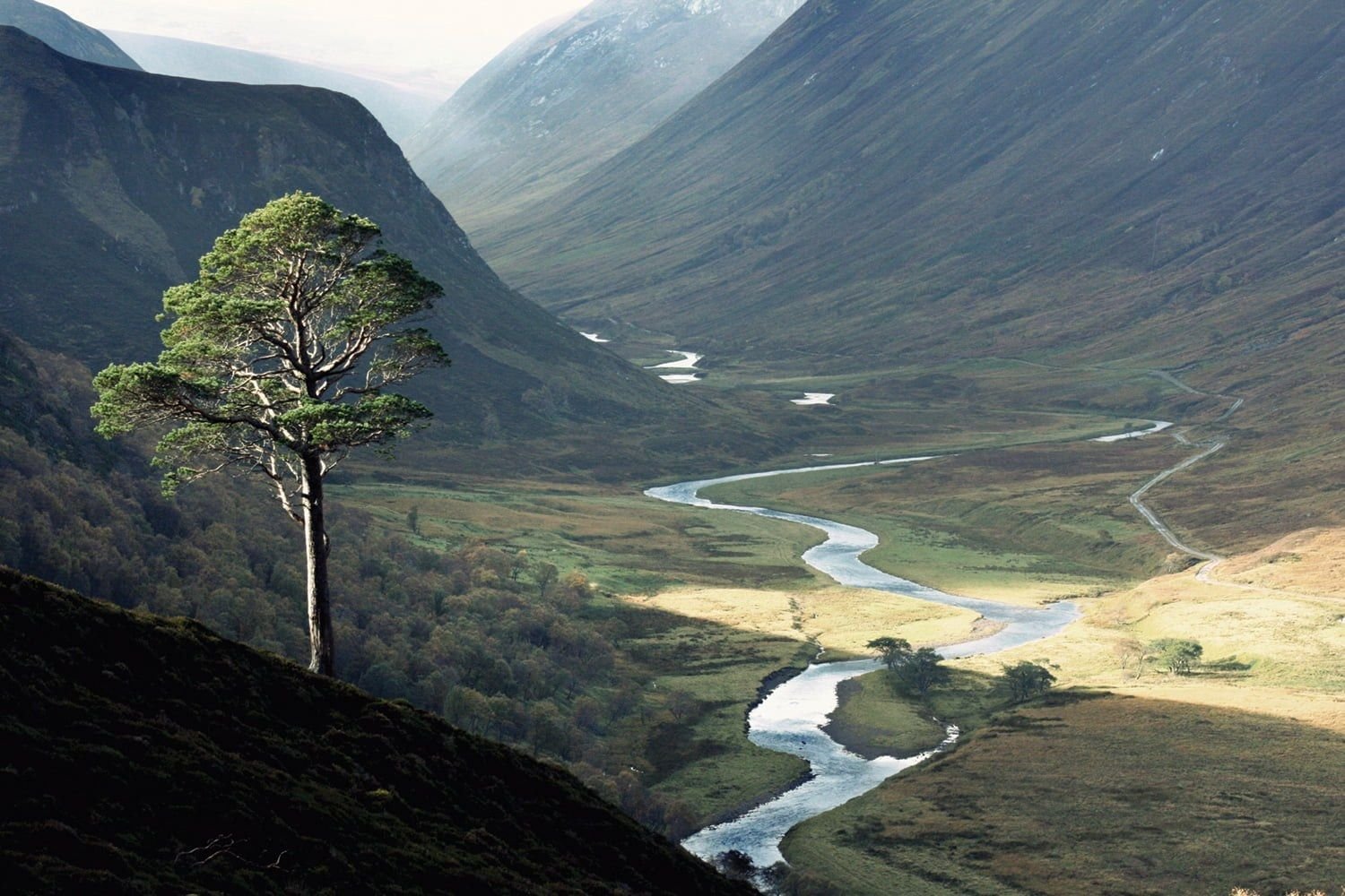 Alladale-river-view.jpg