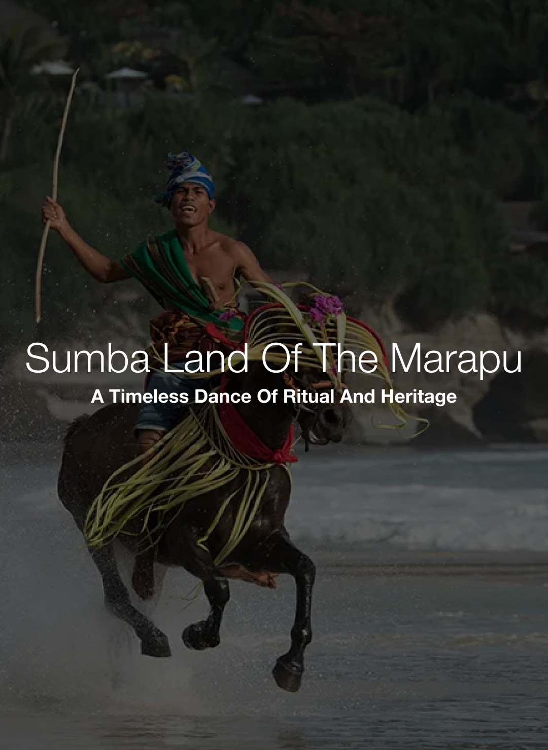 SumbaMarapu.png