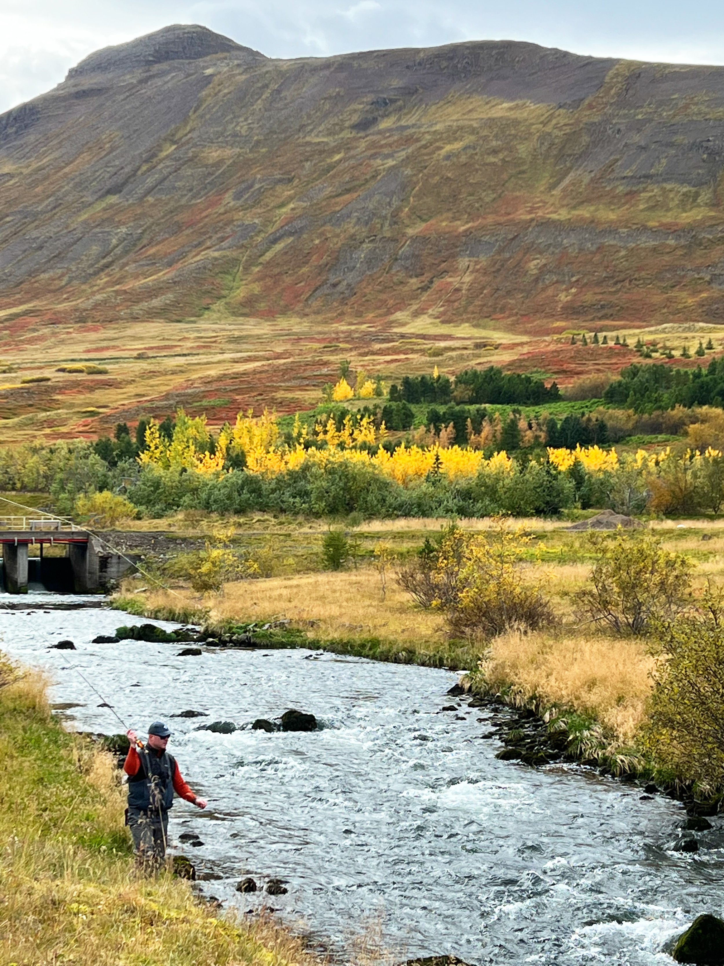 Eleven_Iceland-7-4 2.jpg