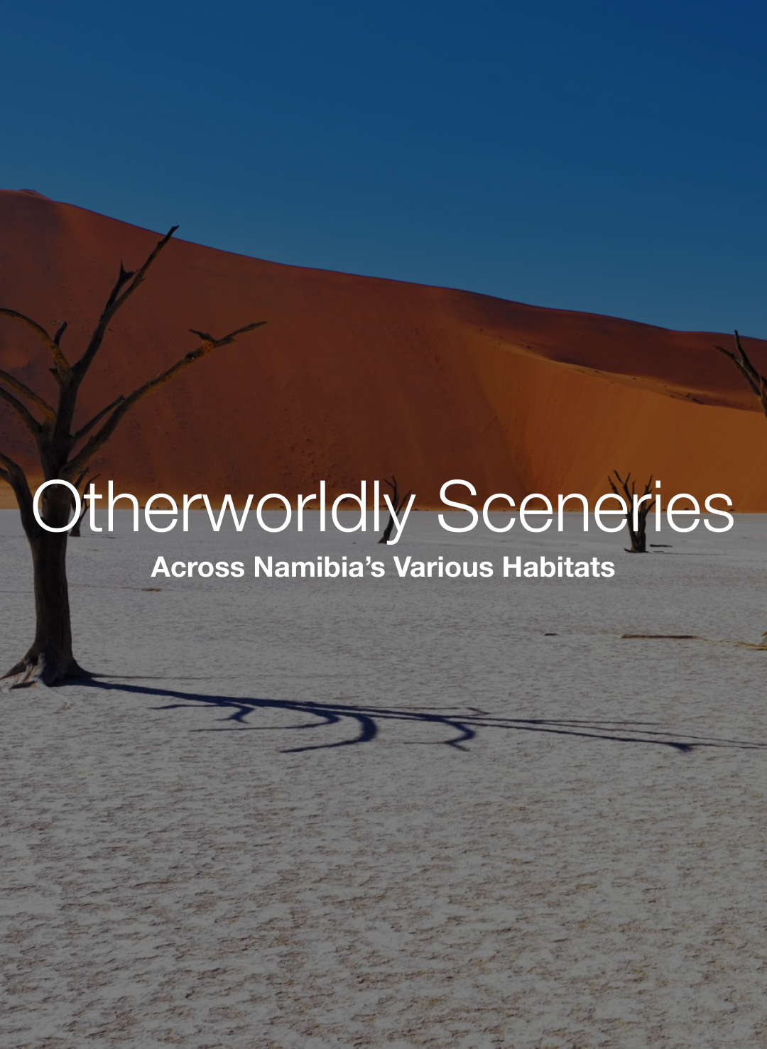 NamibiaOtherworldlySceneries.png