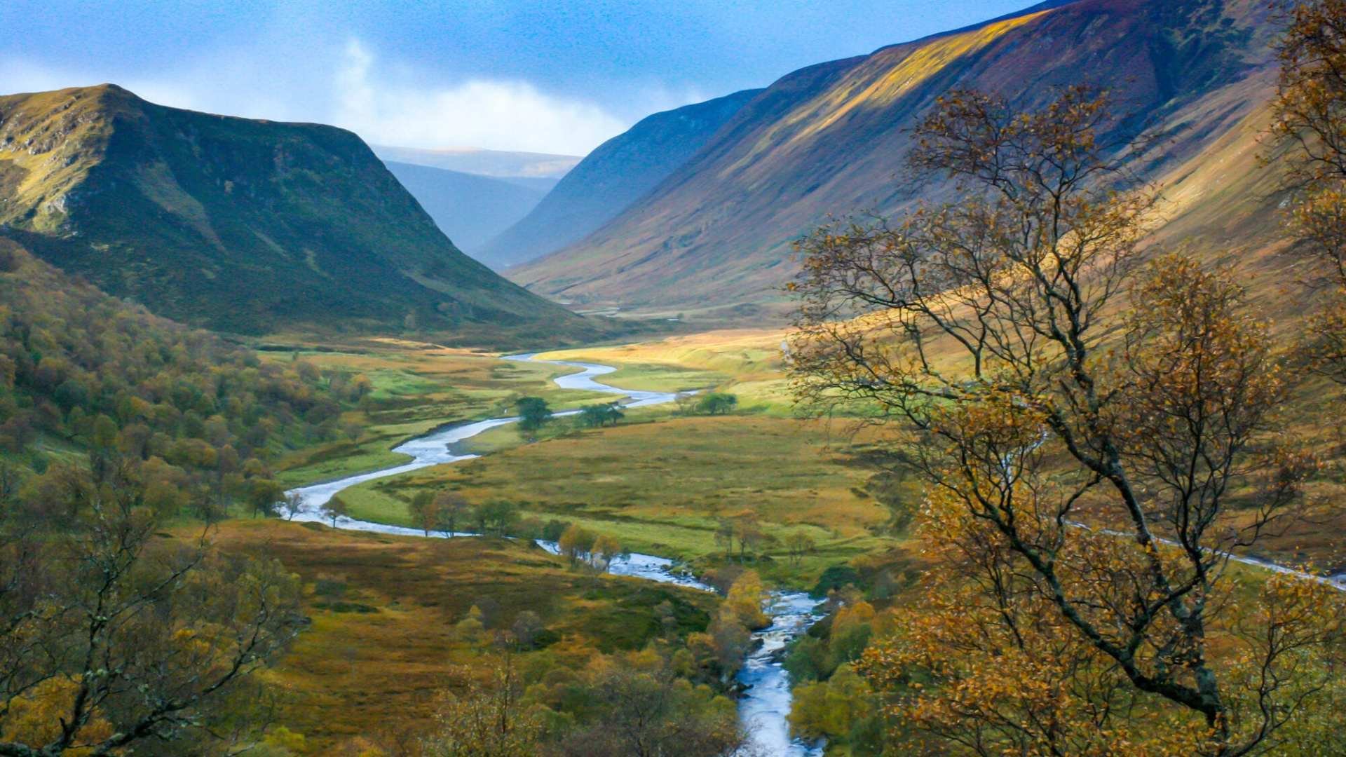 Landscape-Alladale-Wilderness-Reserve-1.jpeg