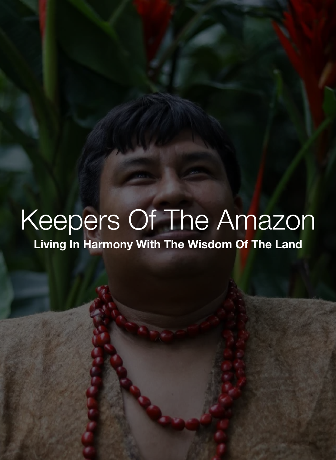 AmazonIndigenous.png