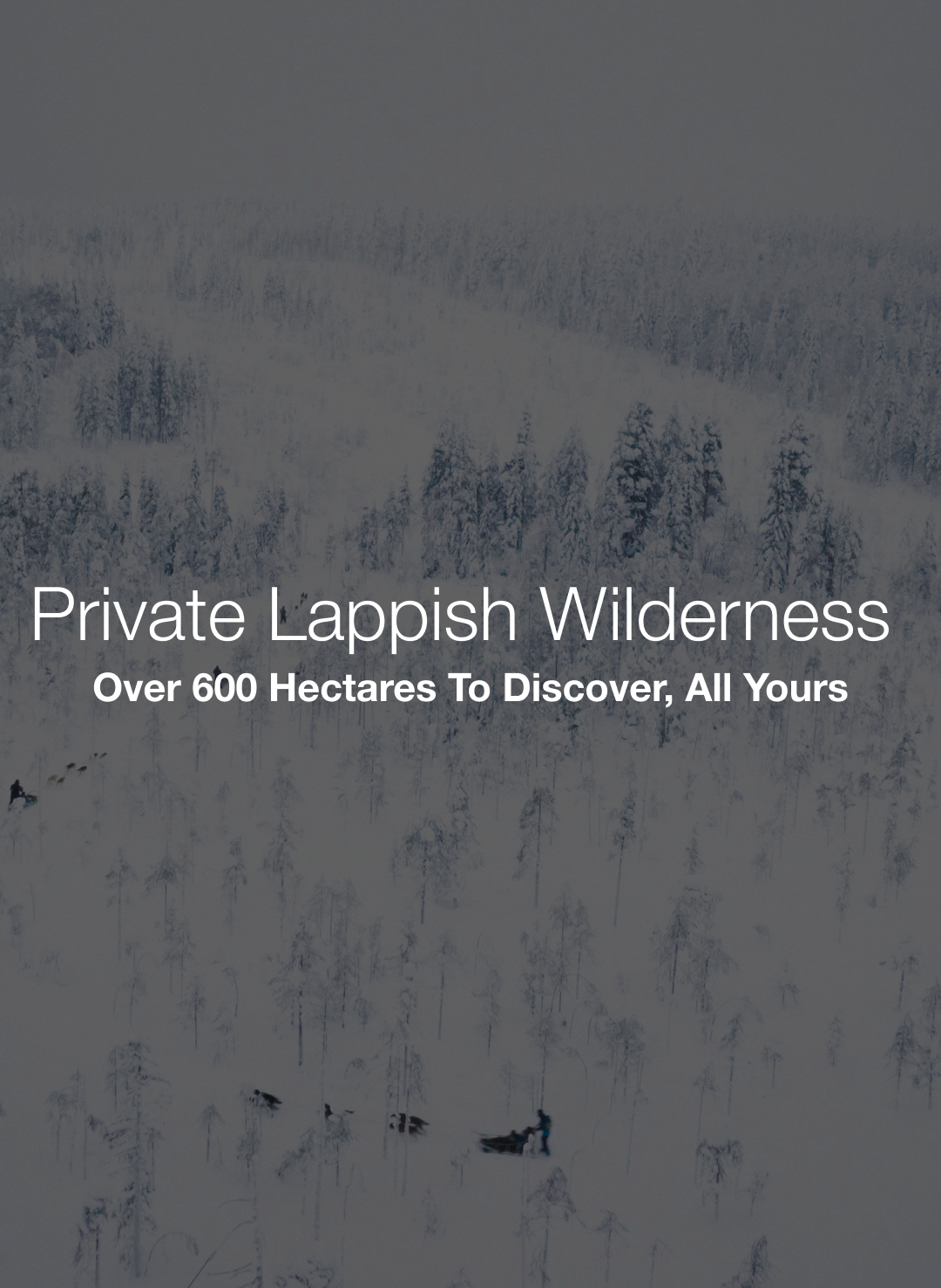 LappishWilderness.png