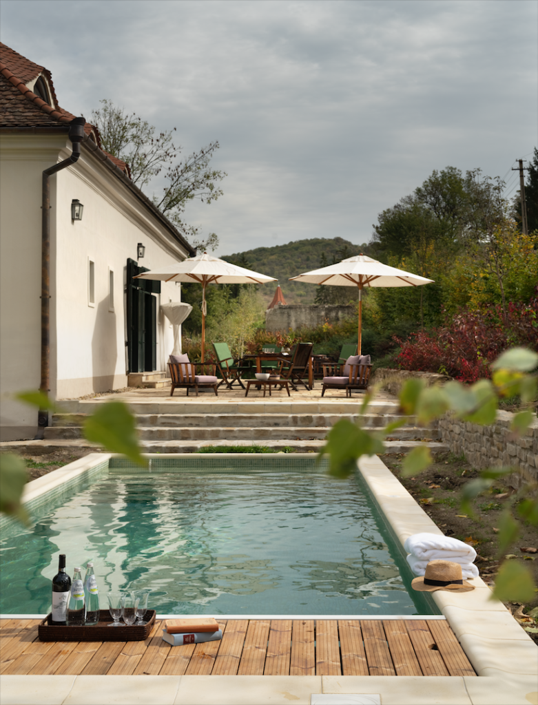 Pool-781x1024.png