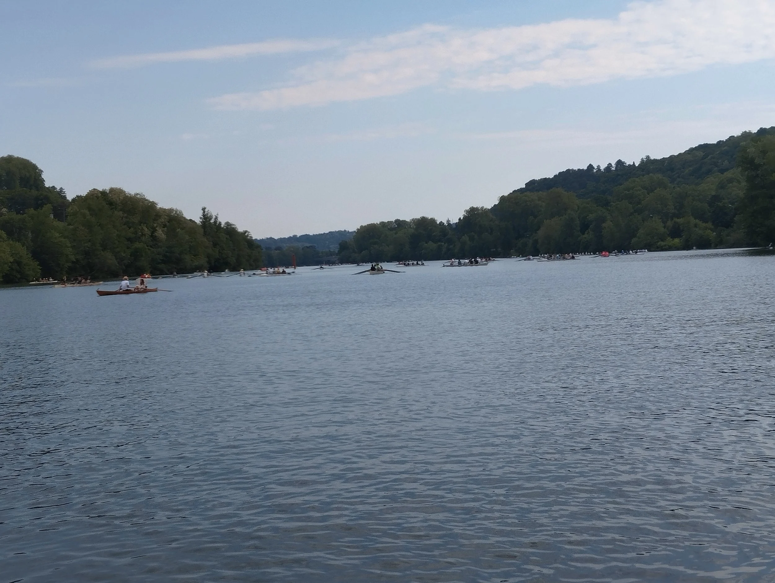 IMG_20260501_095442.jpg