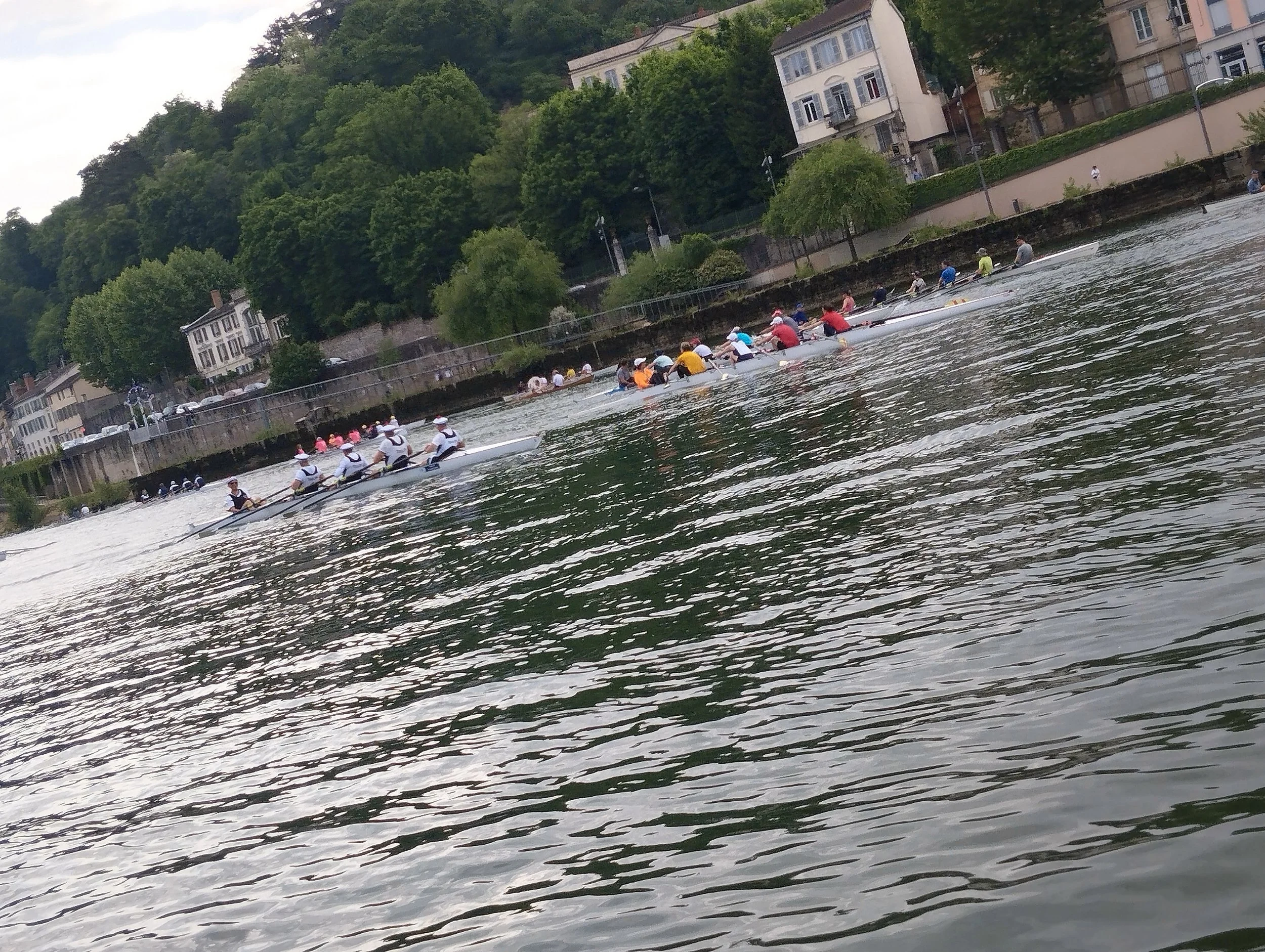 IMG_20260501_100210.jpg