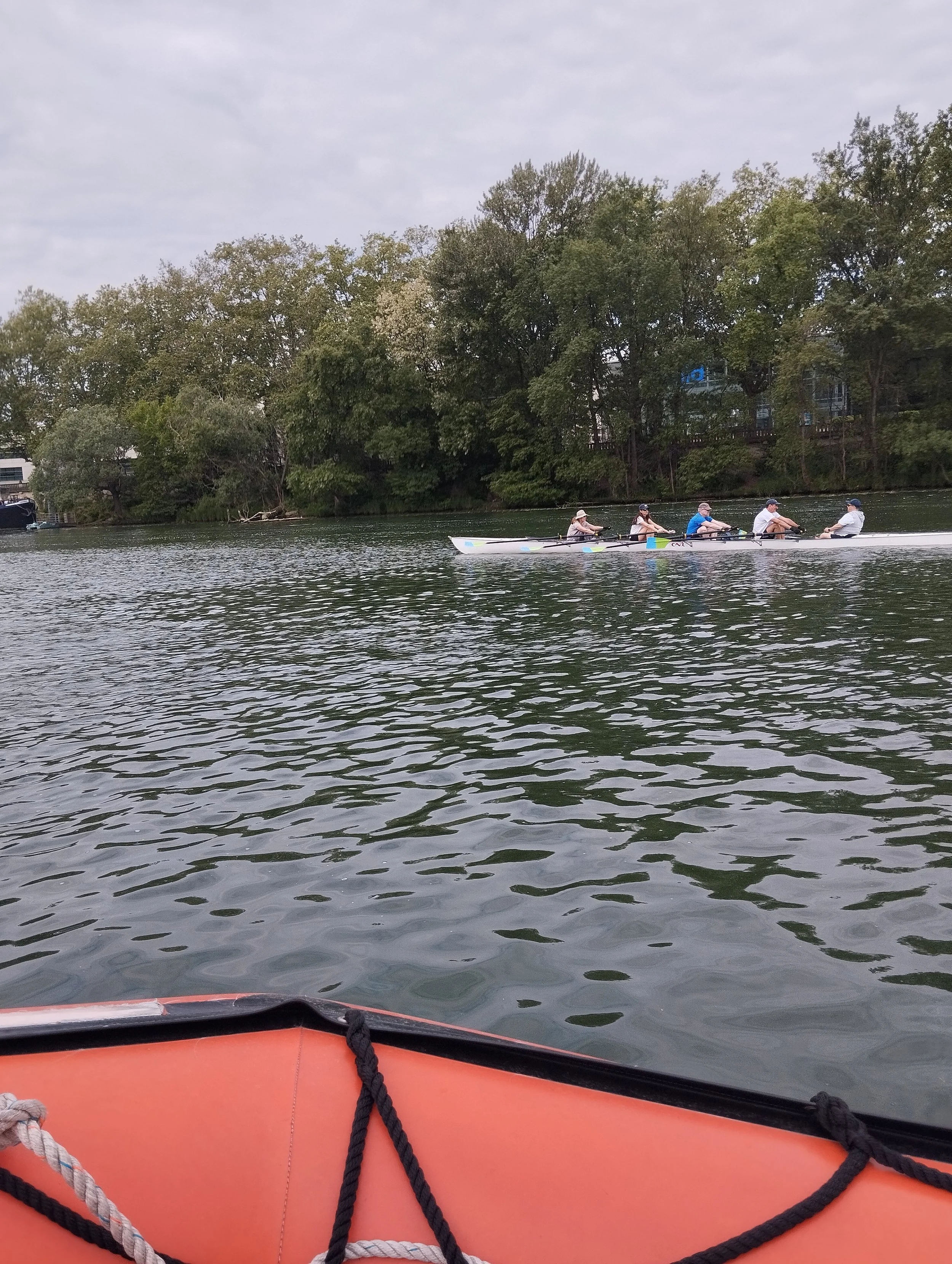 IMG_20260501_101307.jpg