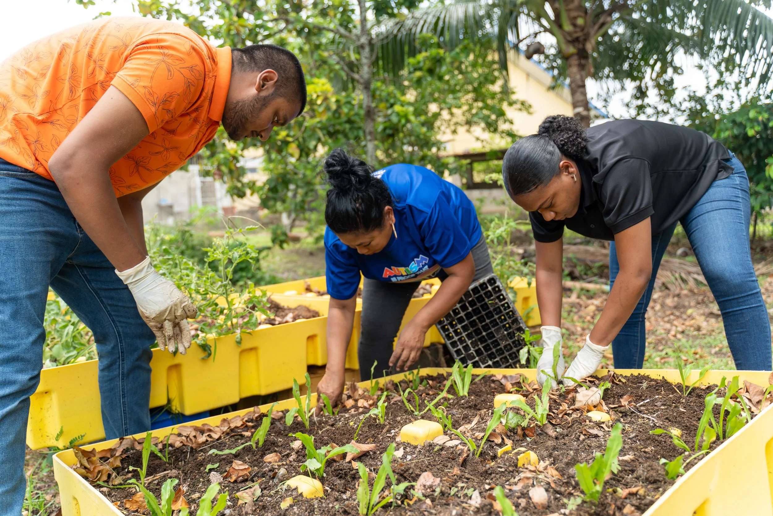 As part of IGT’s Global Giving Month activities on 16th May, ASTT Centre Manager Amoy Raymond (centre) gets help from Mykel Mottley, IGT Product Trainer (on the right), and ASTT adult recreation group member Raul Sankar in fulfilling her vision of planting a vegetable garden at Autism Place in D’Abadie.