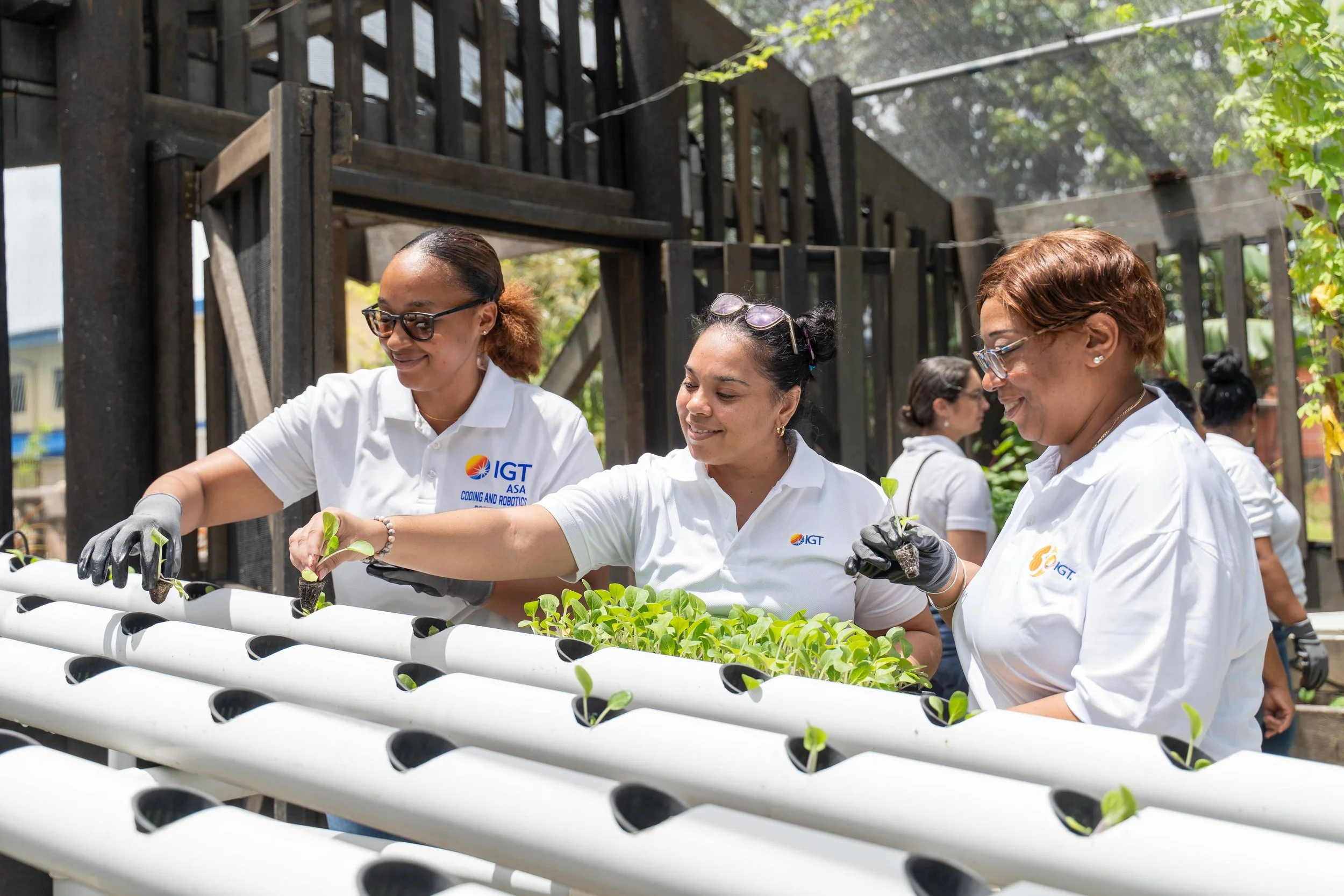 (L-R) IGT volunteers Chelsea Alleyne, Administrative Assistant, Laura Da’Breau, Strategic Accounts Associate, and Leslie-Ann Baxam, Draw Coordinator Lead, plant pachoy in the newly installed hydroponics system at Autism Place in D’Abadie.