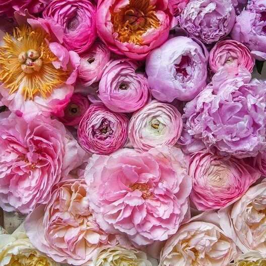 Peony-Pastel-Mix-1_medium.jpg