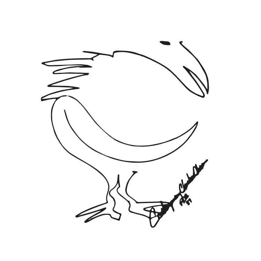 Contemporary Chicken Chair