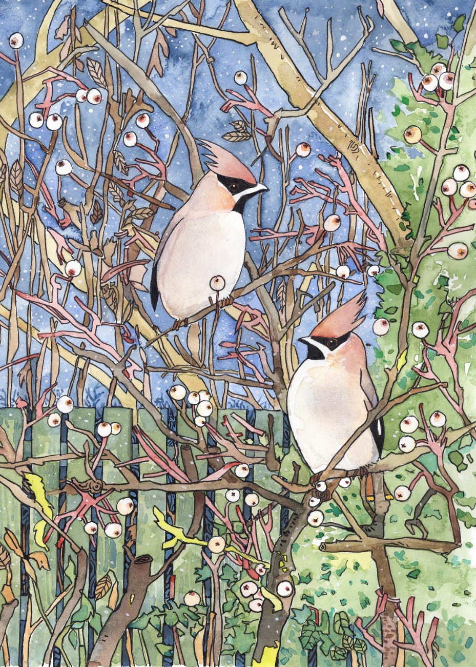 waxwings.jpg
