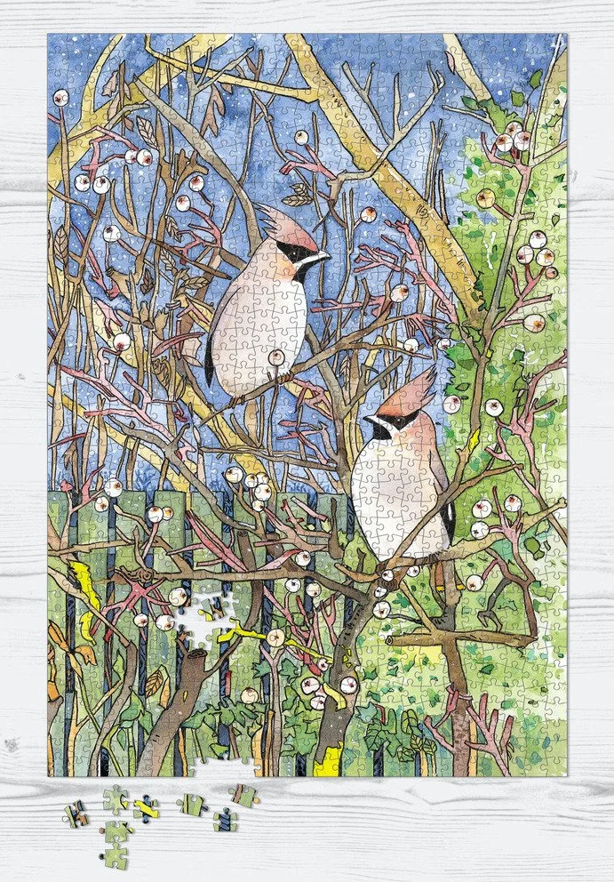 waxwings_SFA024.jpg
