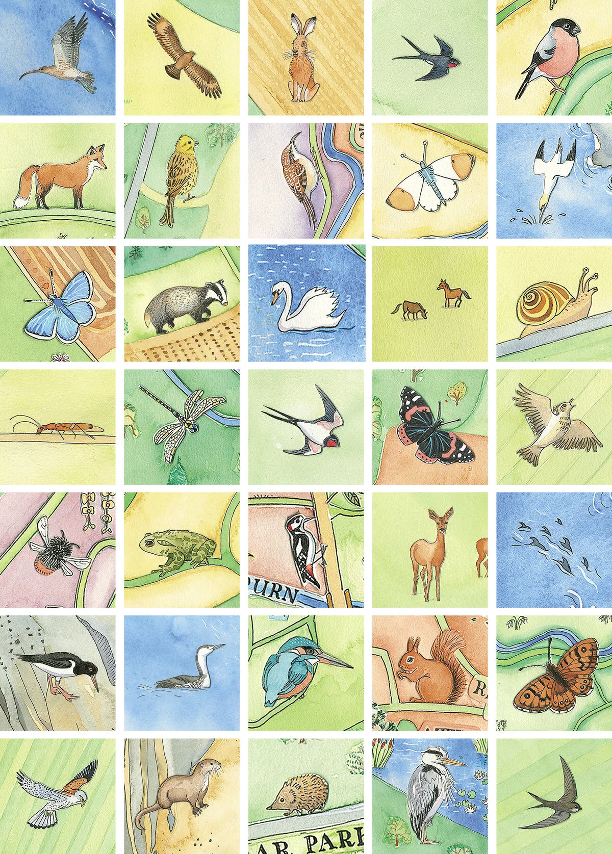 A print of illustrations of wildlife including red squirrel, badger and fox (Copy)
