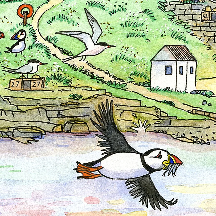 coquet sunrise detail 3.jpg