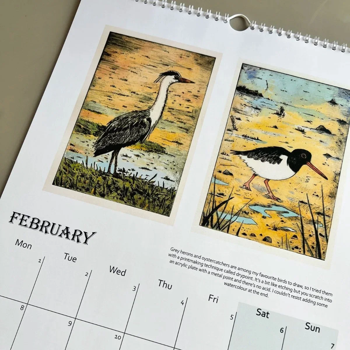 heron+and+oystercatcher.jpg