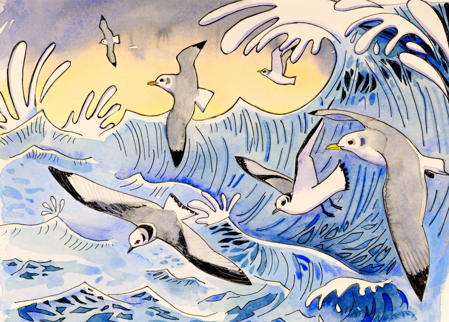 kittiwakes stormy cropped.jpg