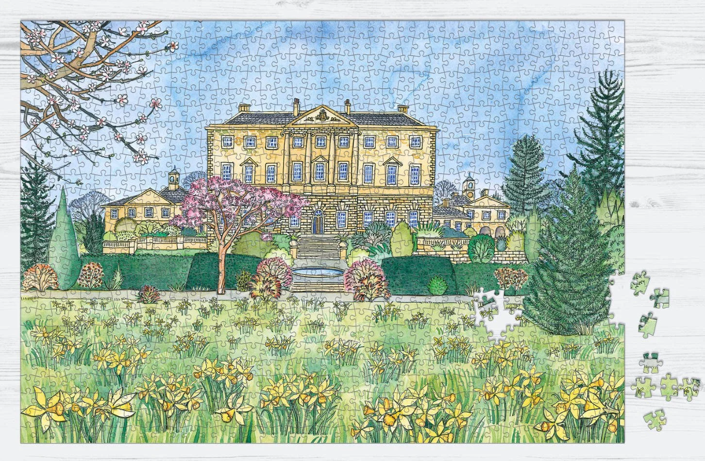 howick daffodils_SFA016.jpg