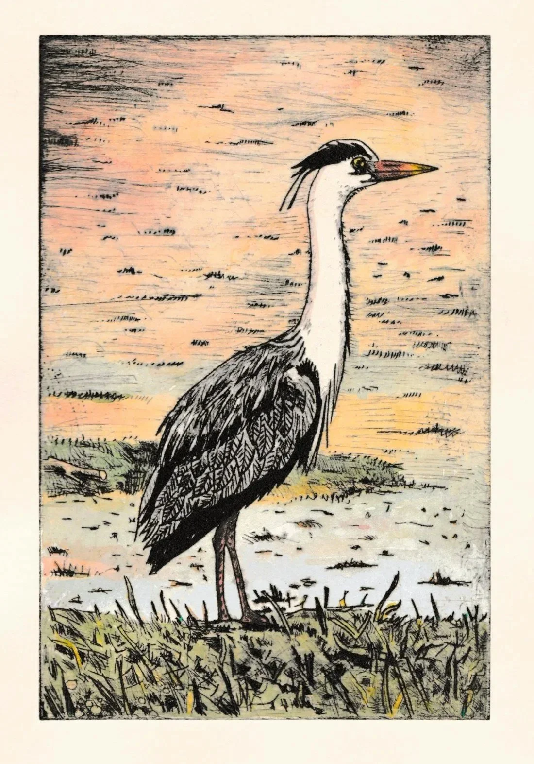heron drypoint etching with watercolour