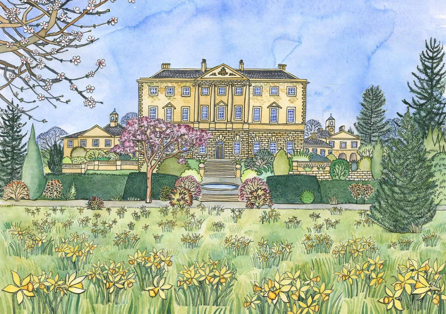 daffodils-at-howick-hall_091.jpg