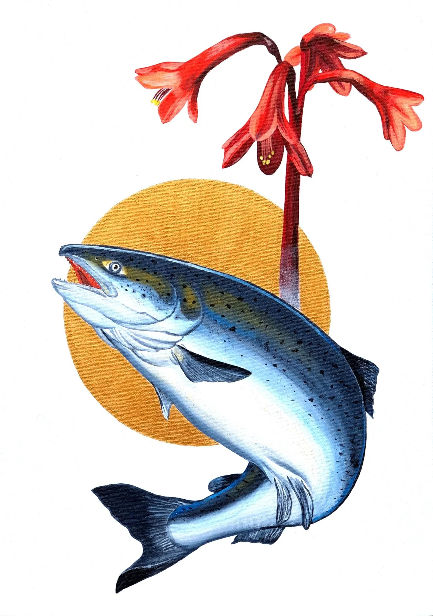 Salmon fire Lilly .jpeg
