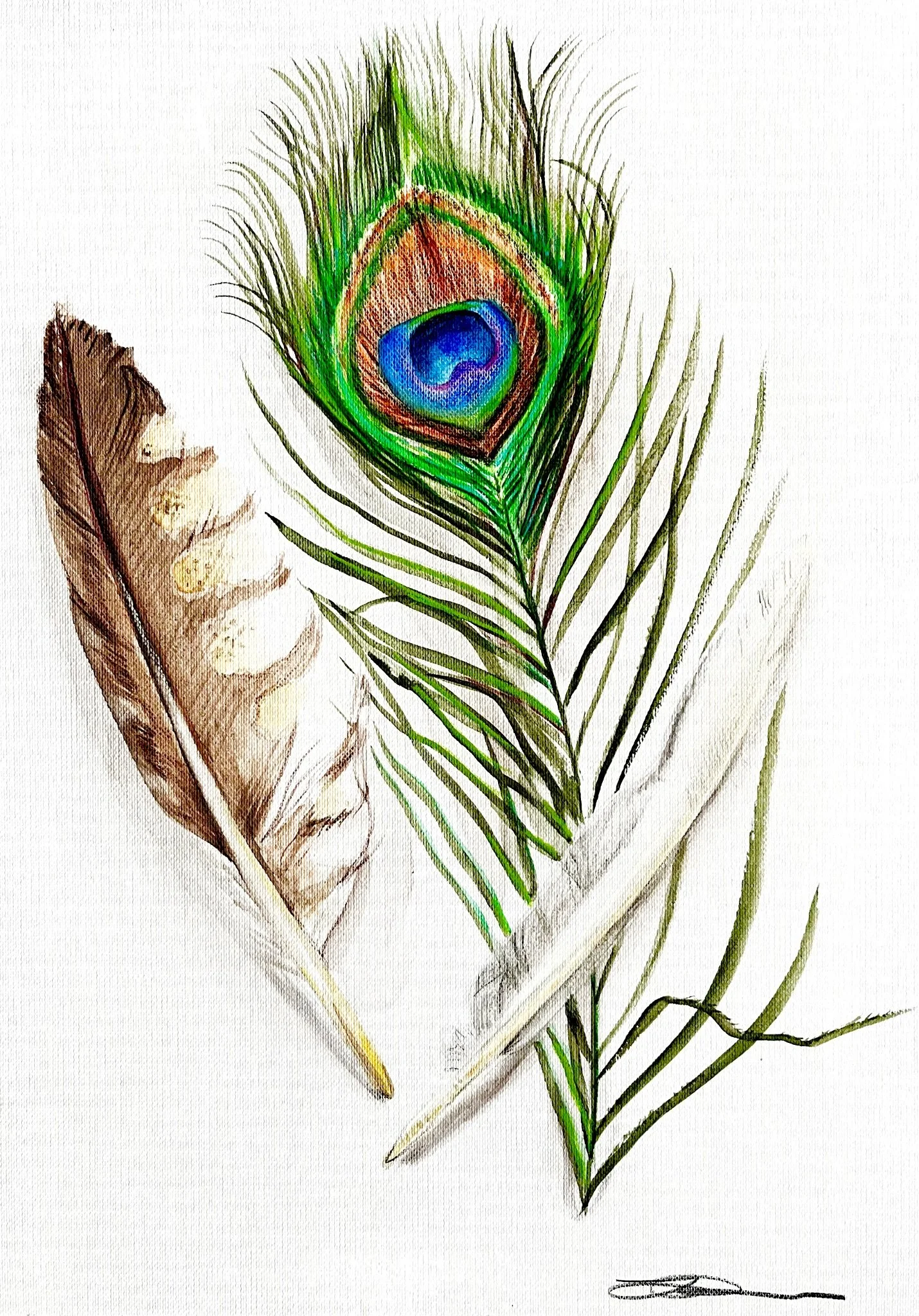 Feathers.jpeg