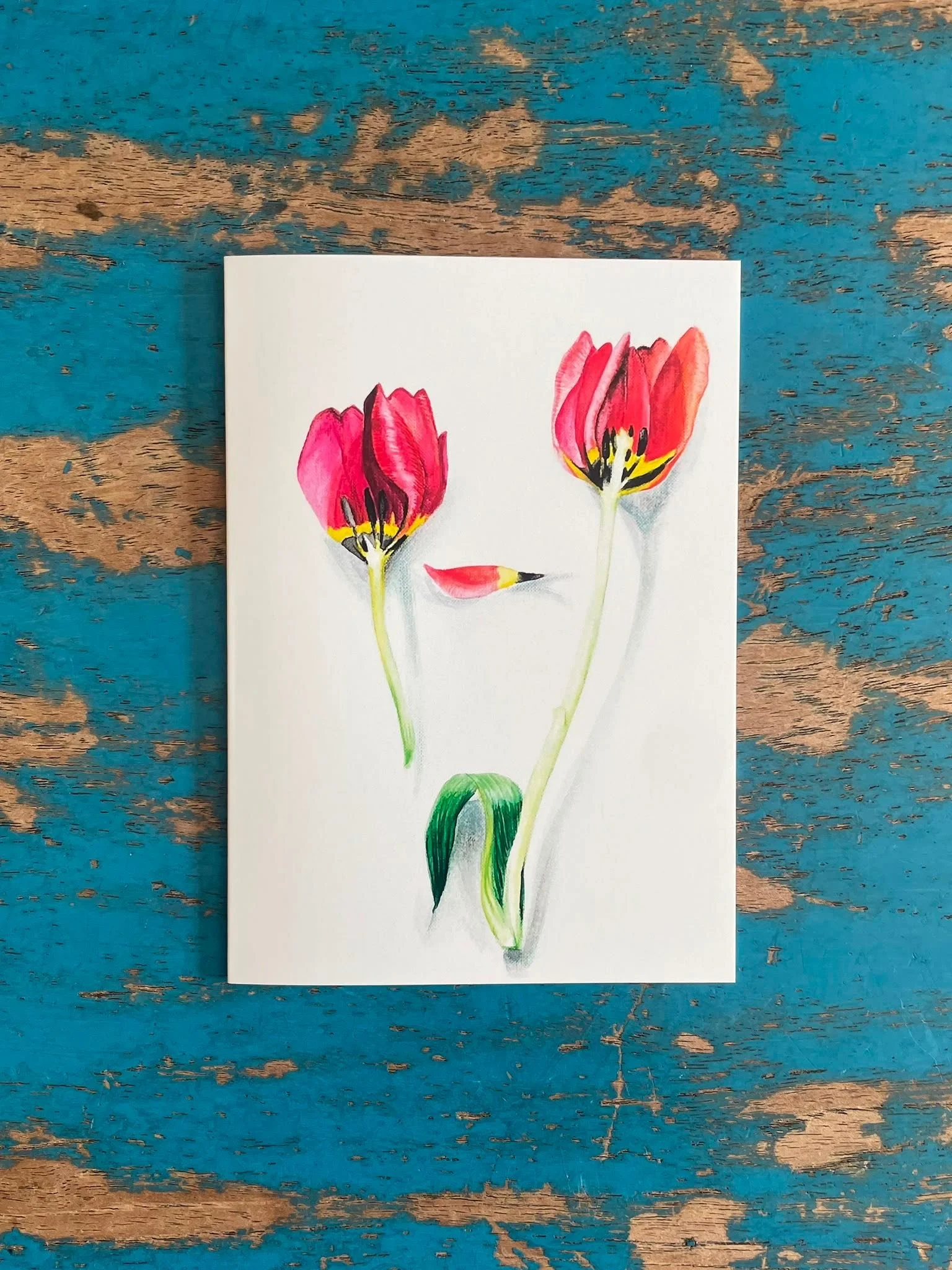 tulips.jpeg