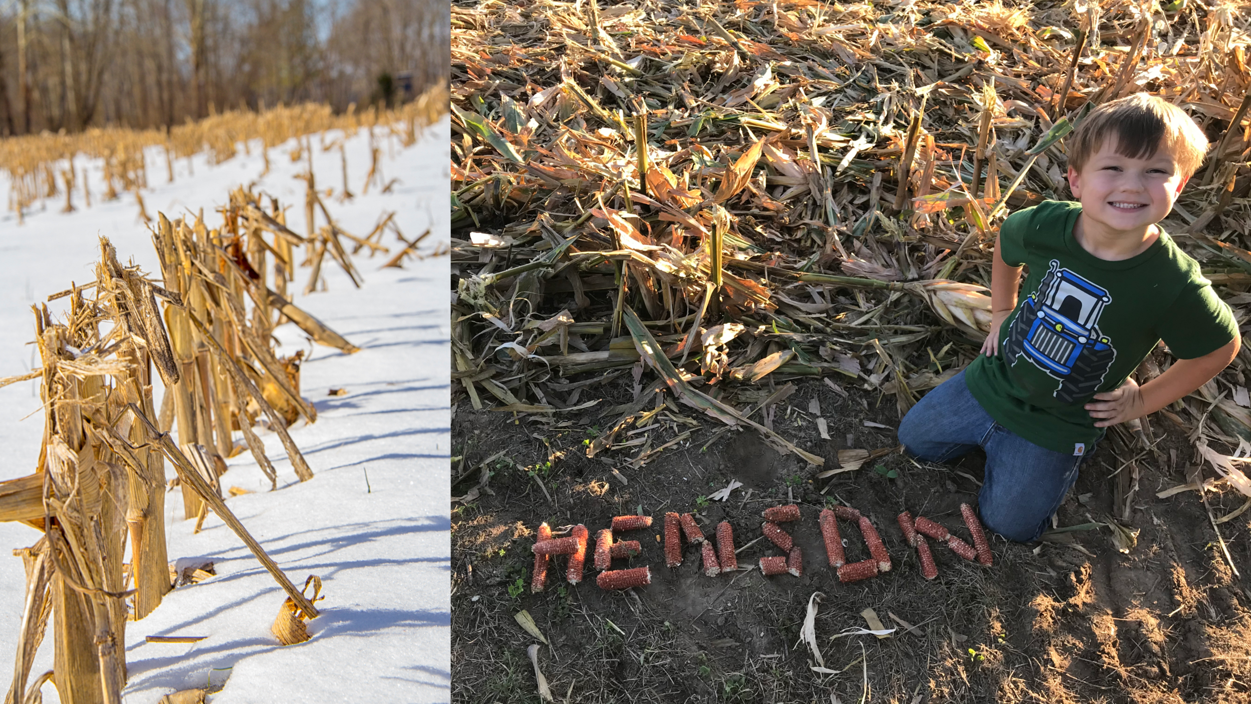 Picture Perfect Corn: Photo Contest Winners Announced