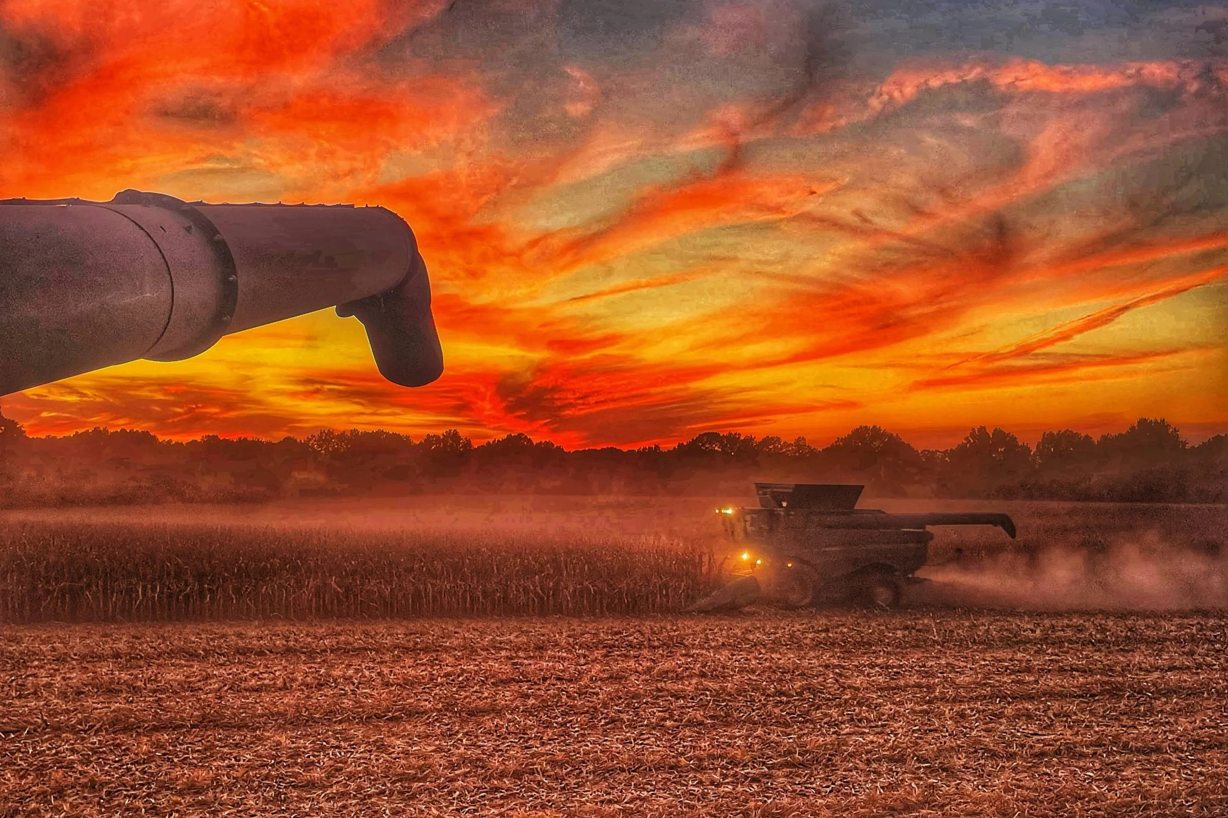 Tennessee Corn Photo Contest Winners Announced