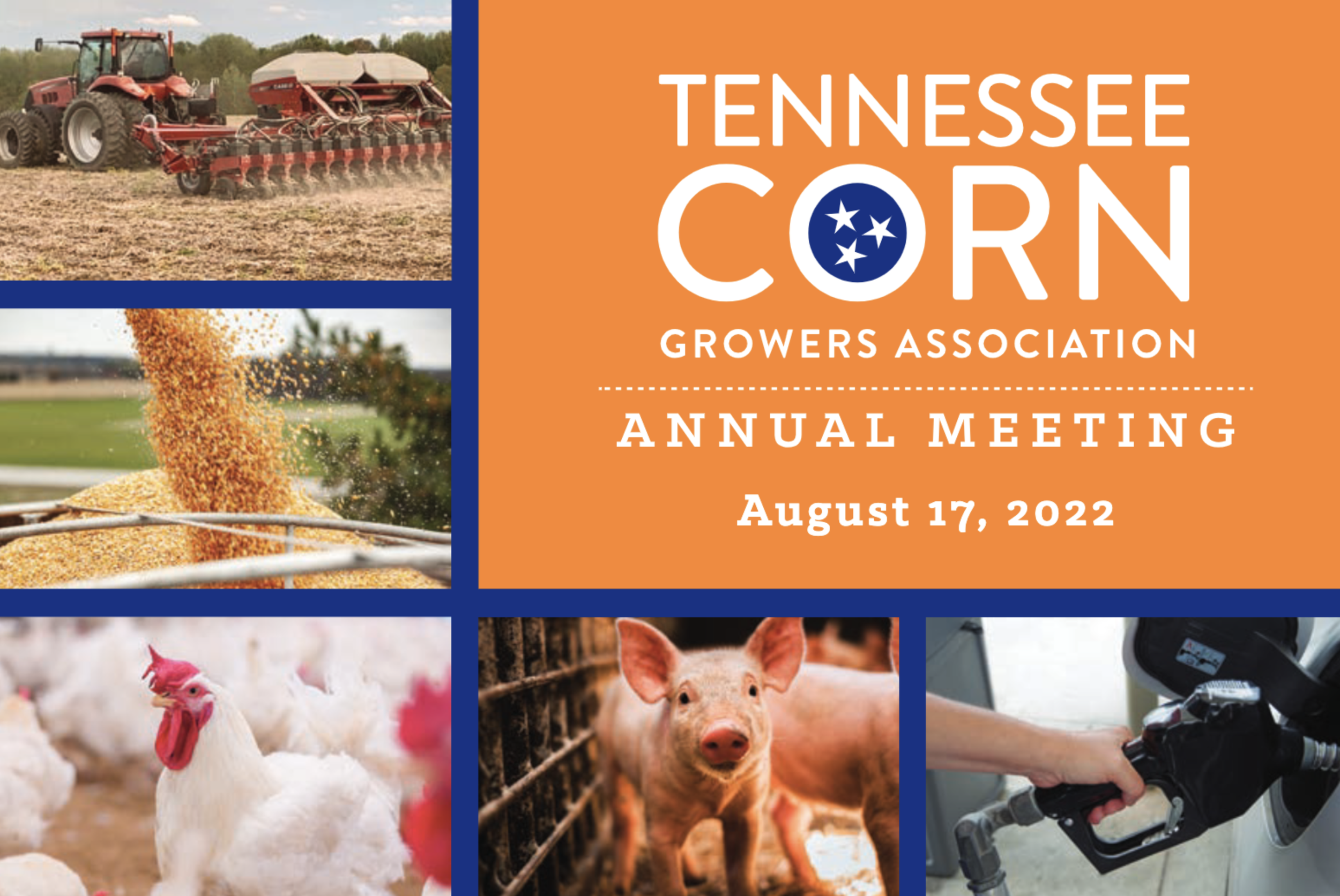 Tennessee Corn Summer Meetings to be held Aug. 17