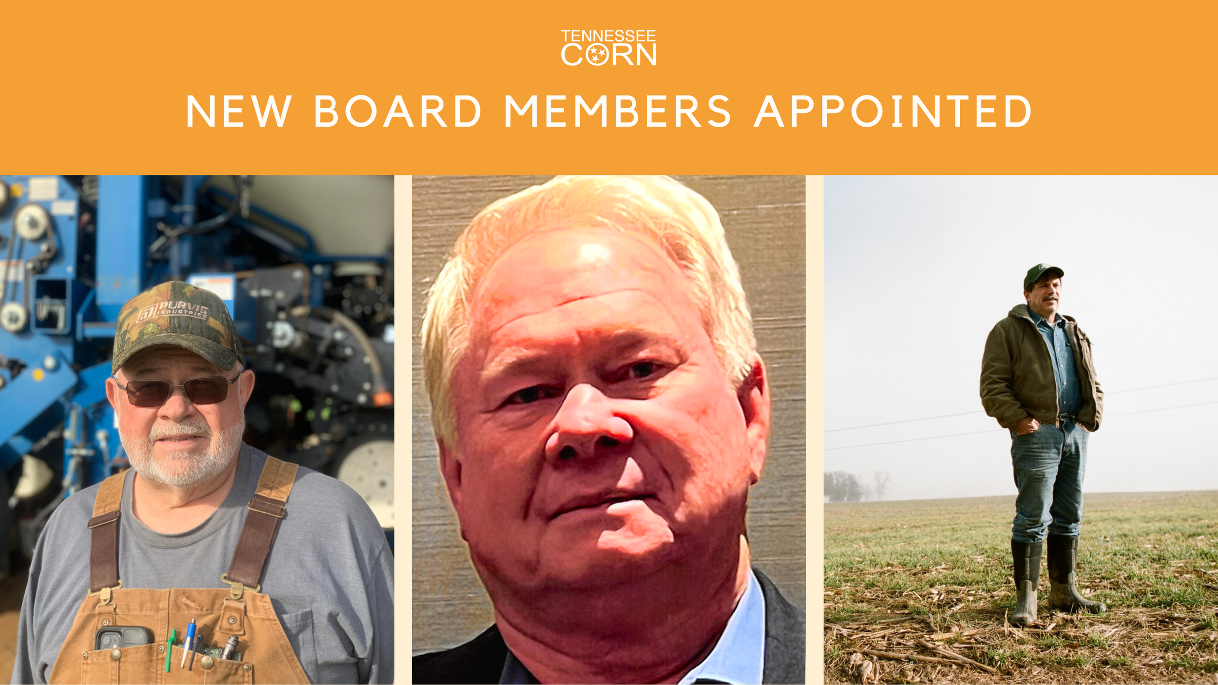 New Board Members Appointed