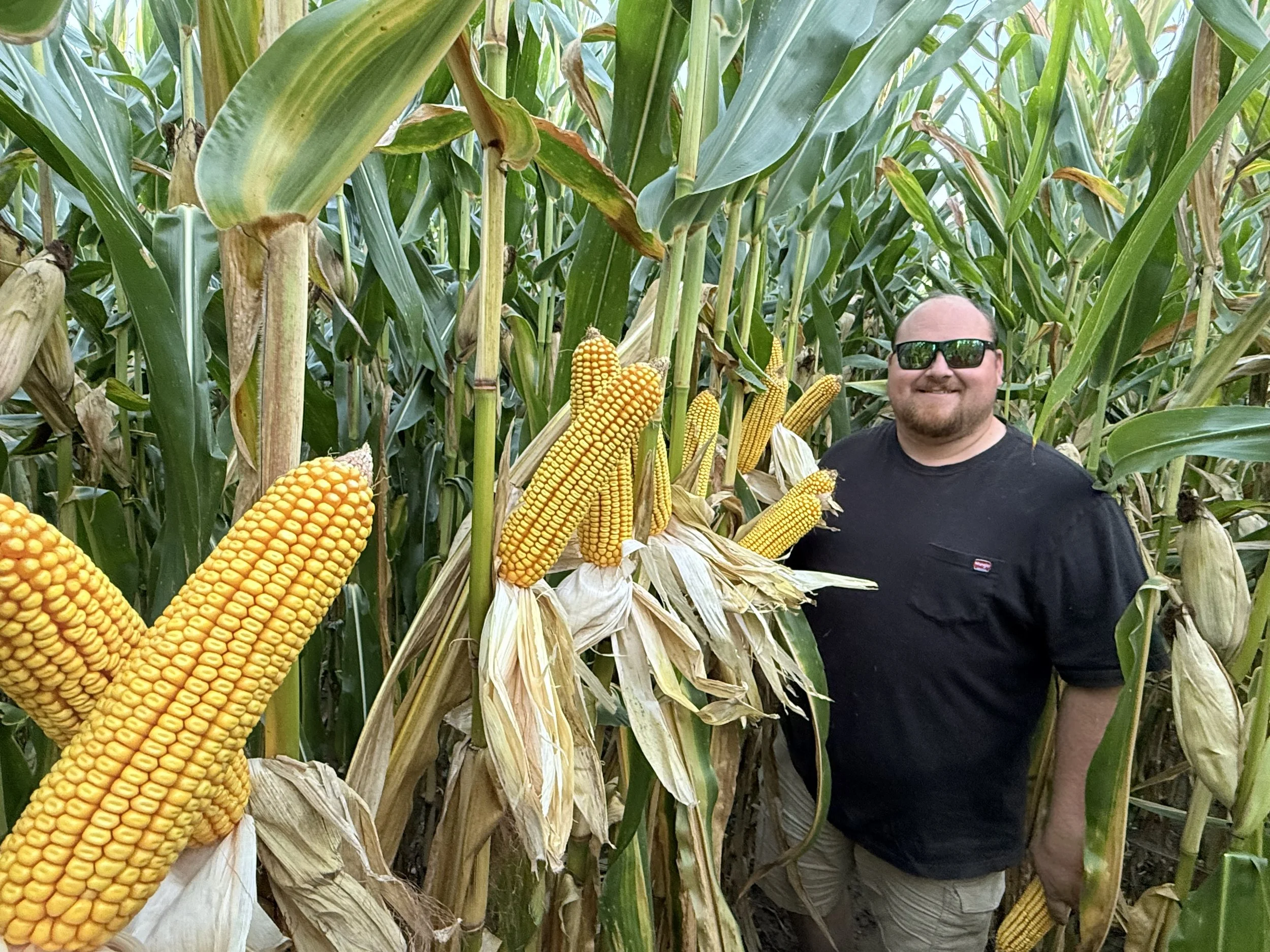 Faith, Family, and Farming Through the Flood: How Corn Keeps the Neas Farm Growing