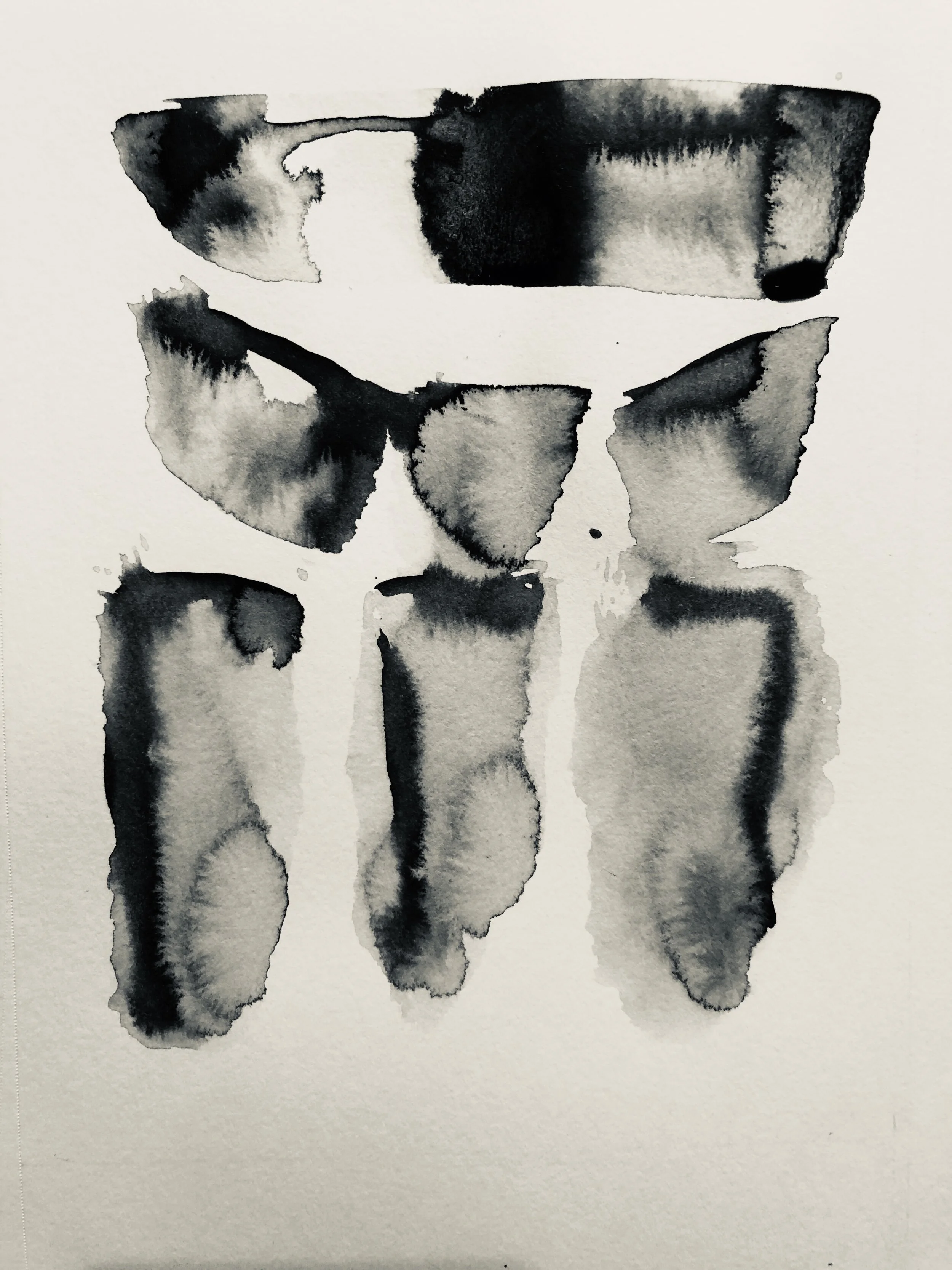 Emily Law response.jpeg