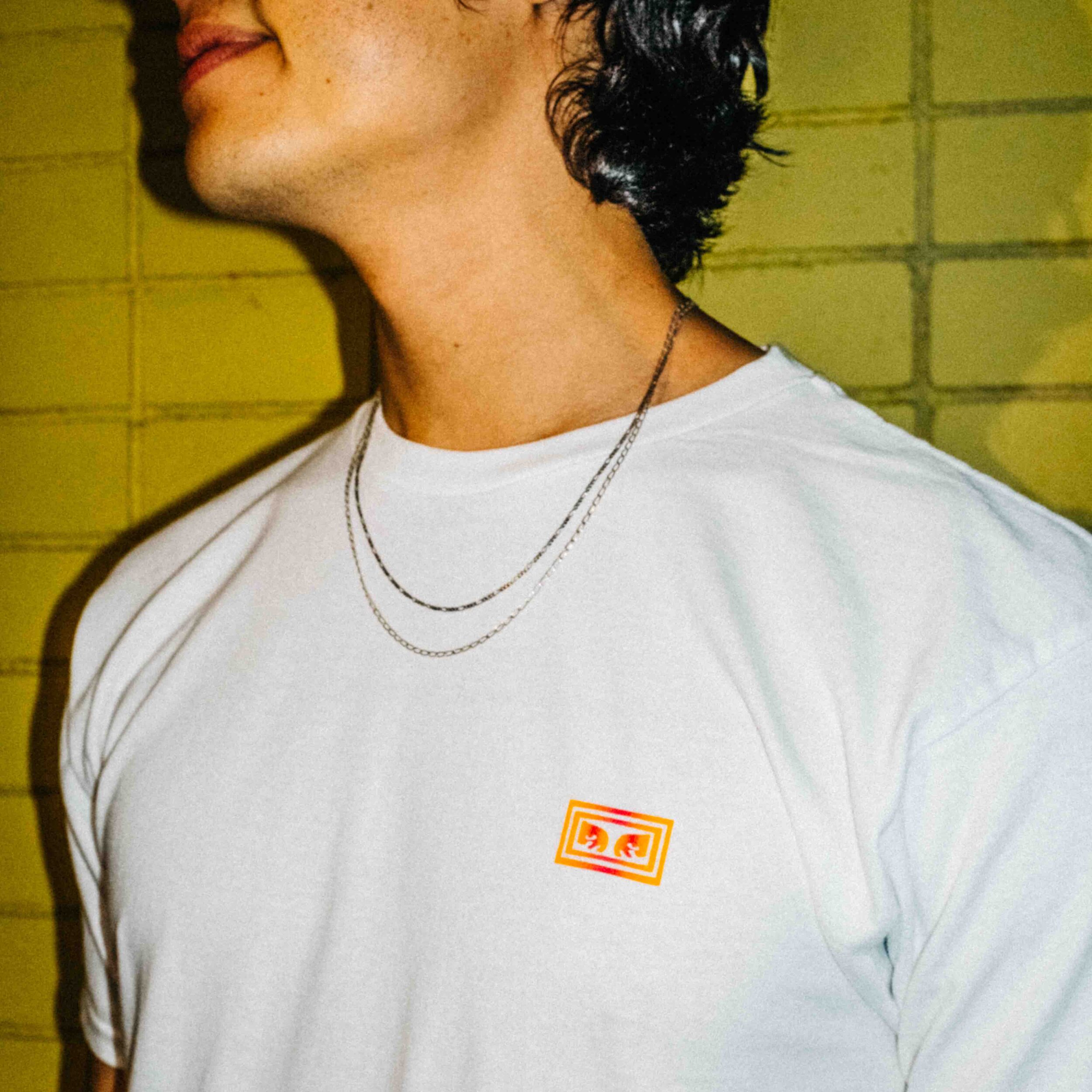 Viva! x Obey