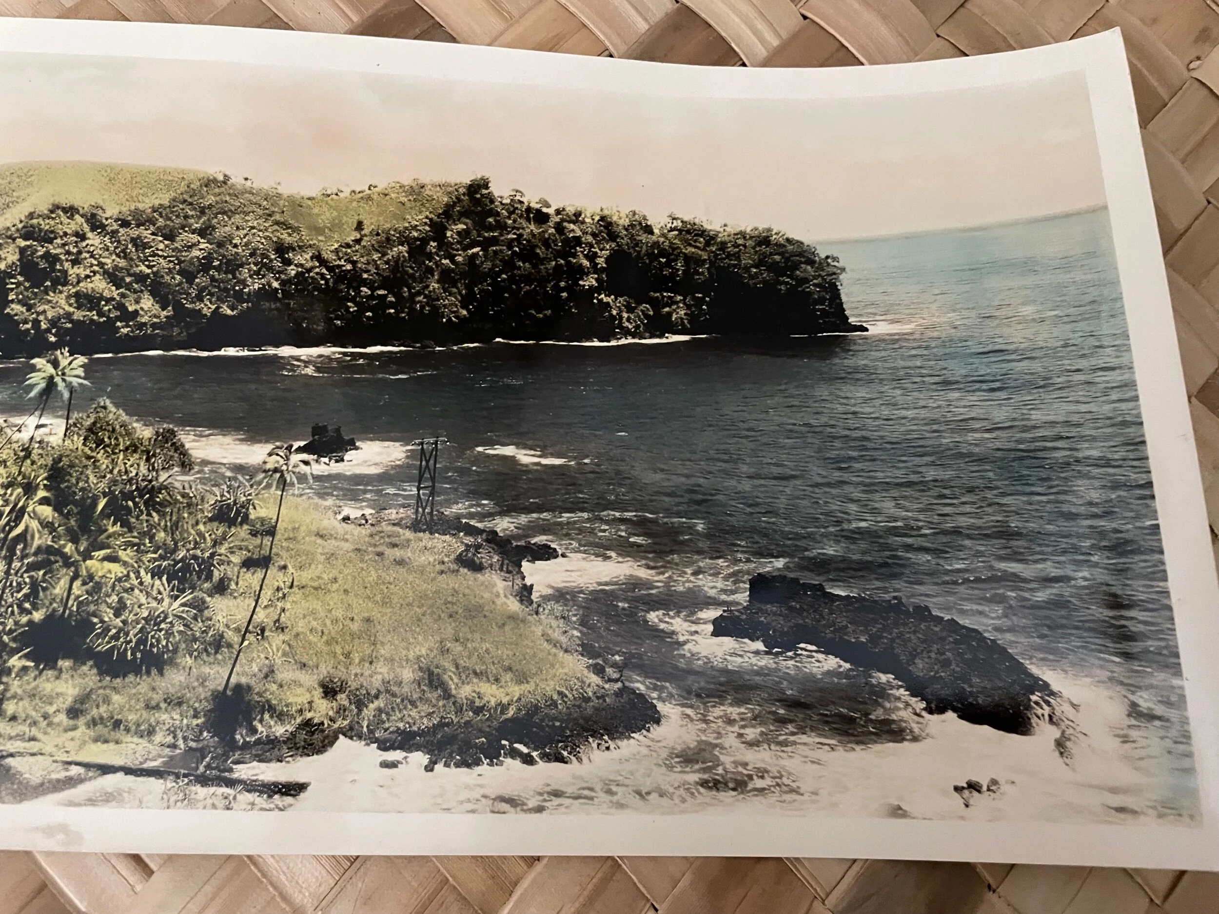 A9A8CF31-2CC6-4604-858F-4DF1405A35AF