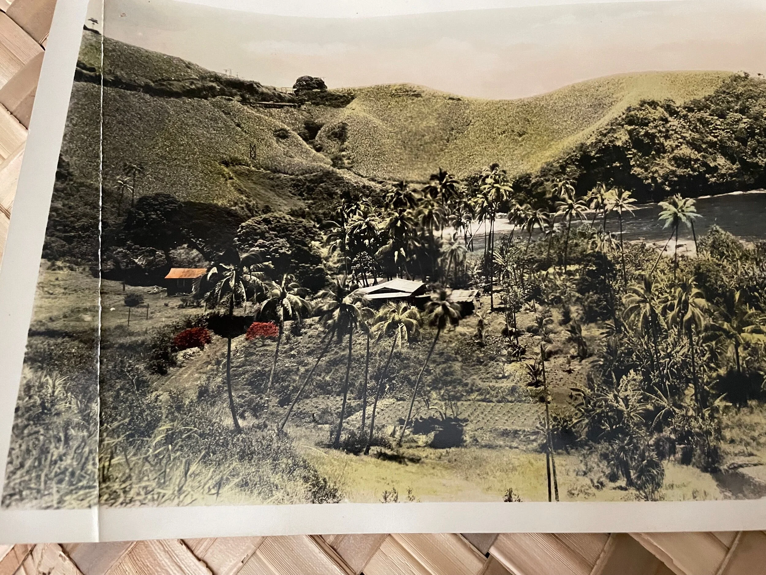 B75A798C-307F-48D8-A236-7C0E838EA9D6