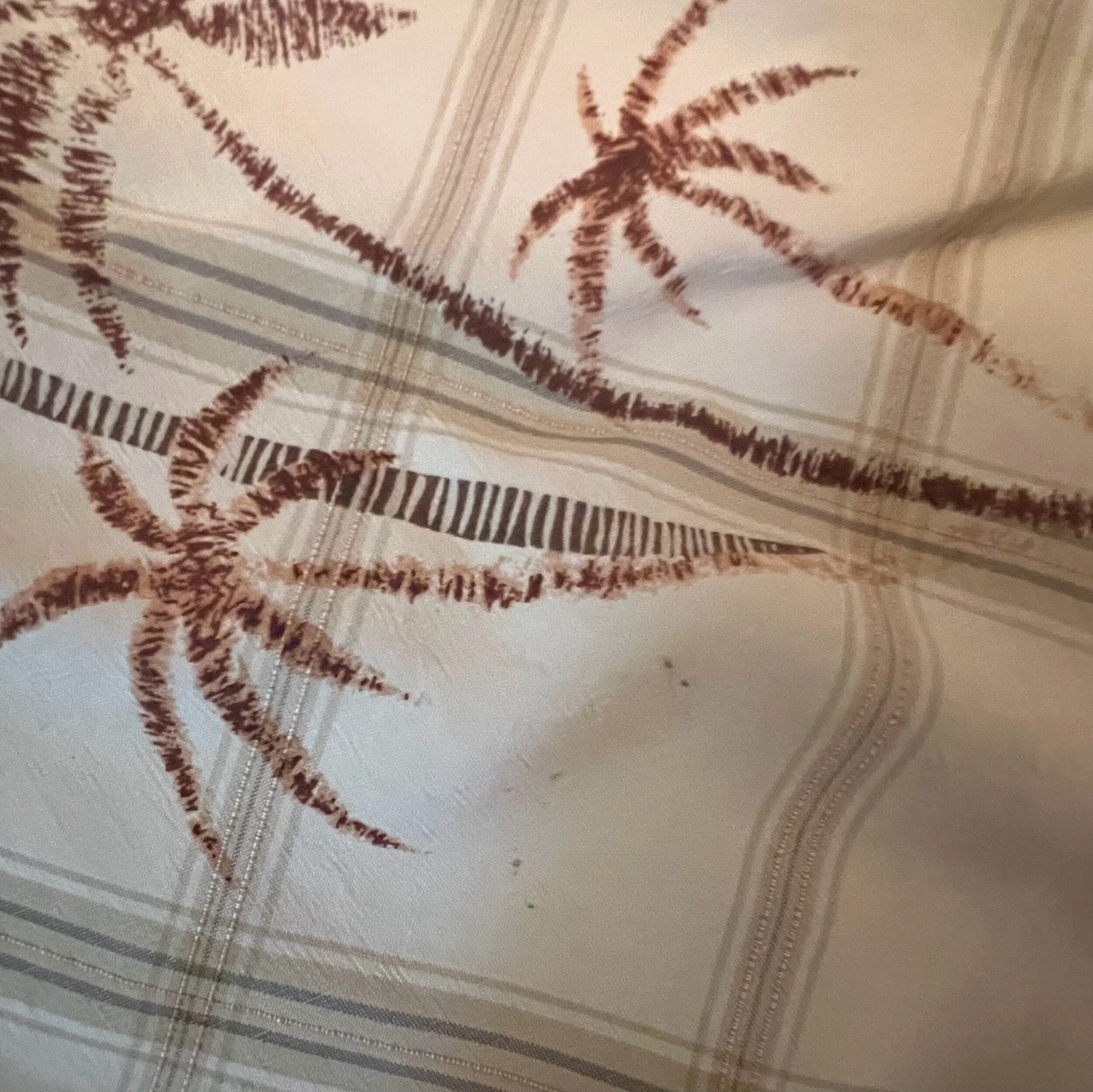 1A44A8A7-B02F-44C8-AD74-3667FAE97682