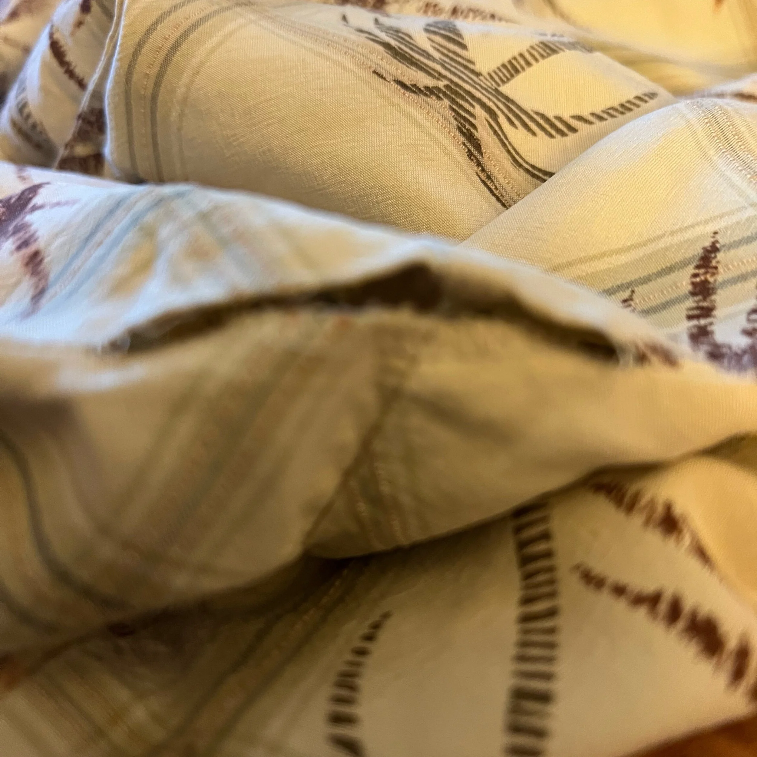 09ED0DD4-8F38-41EB-A8BB-563C3DE6BA14